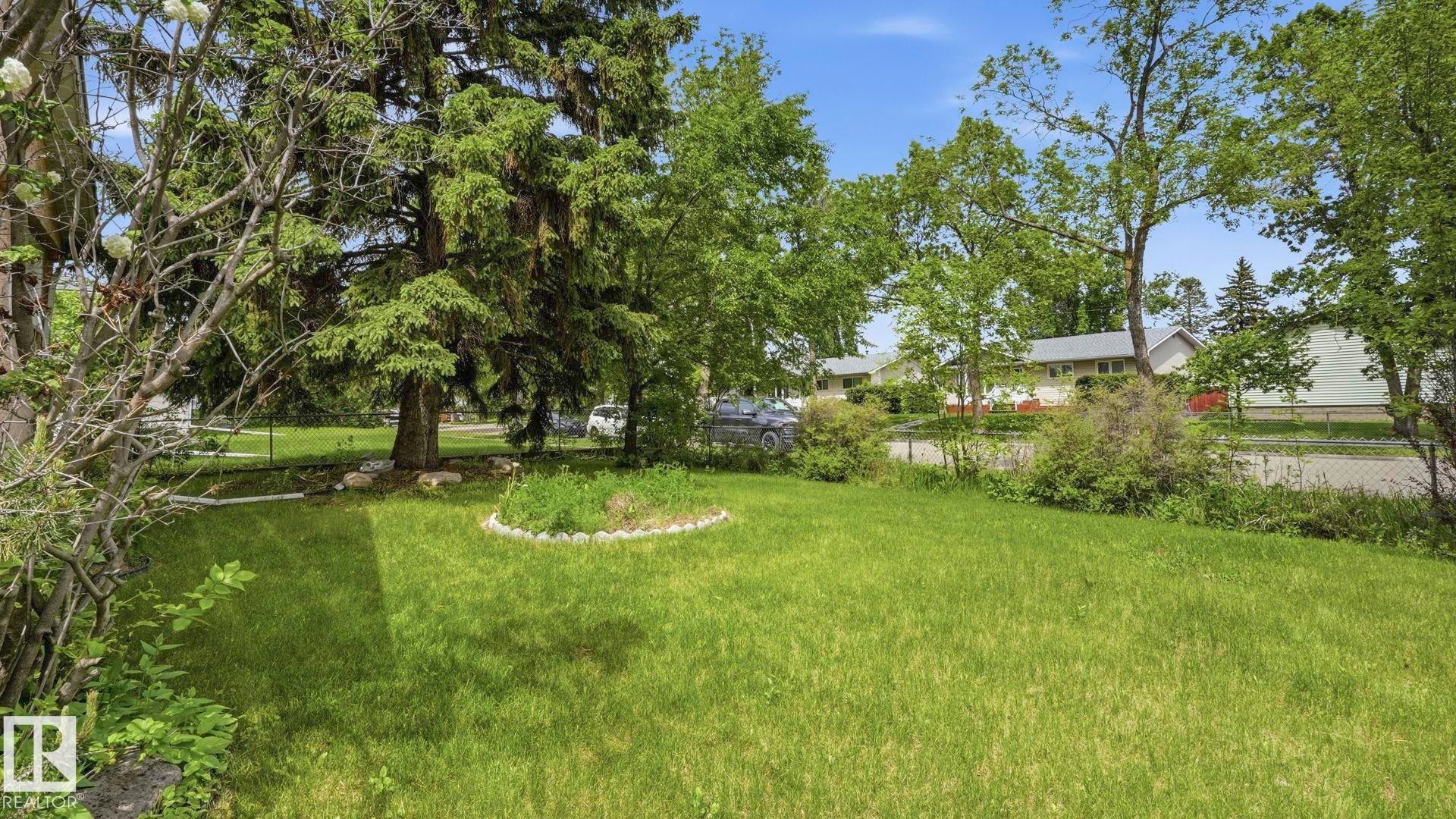 Spacious lawn with established evergreen and deciduous trees - 13008 105 Street Nw, Edmonton, AB - Outdoor