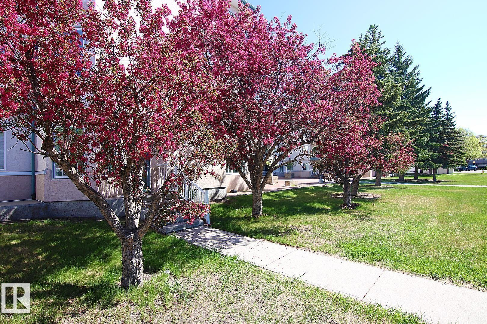 308 17150 94A Avenue, Edmonton, AB
