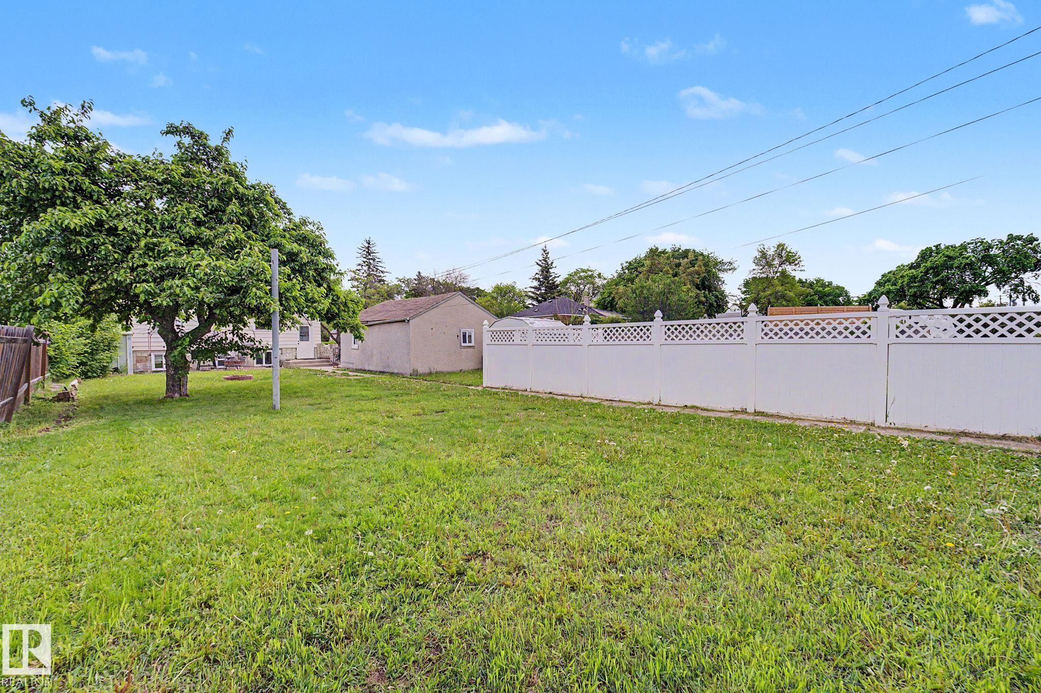 Expansive green lawn with a mature shade tree and a white lattice-top fence - 11914 124 Street, Edmonton, AB