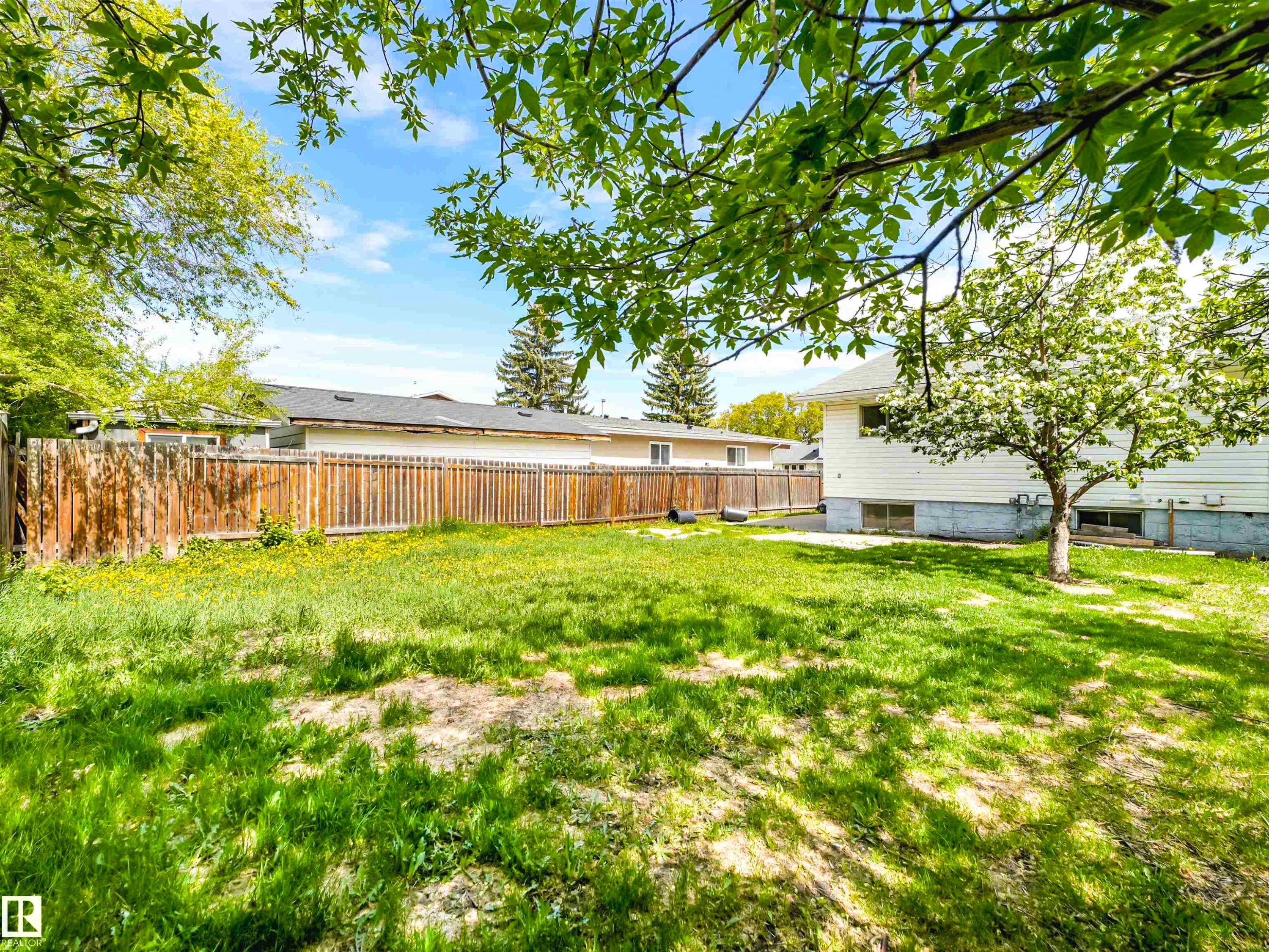 Expansive rear yard featuring natural grass, a mature flowering tree, and wood fencing - 13114 30 Street, Edmonton, AB - Outdoor