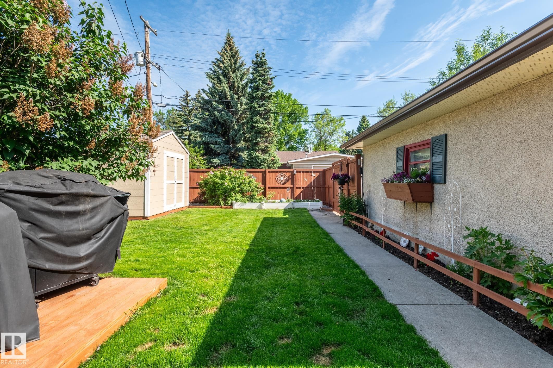 Expansive grass lawn with a paved pathway, wood fencing, and mature trees - 14708 108 Av, Edmonton, AB