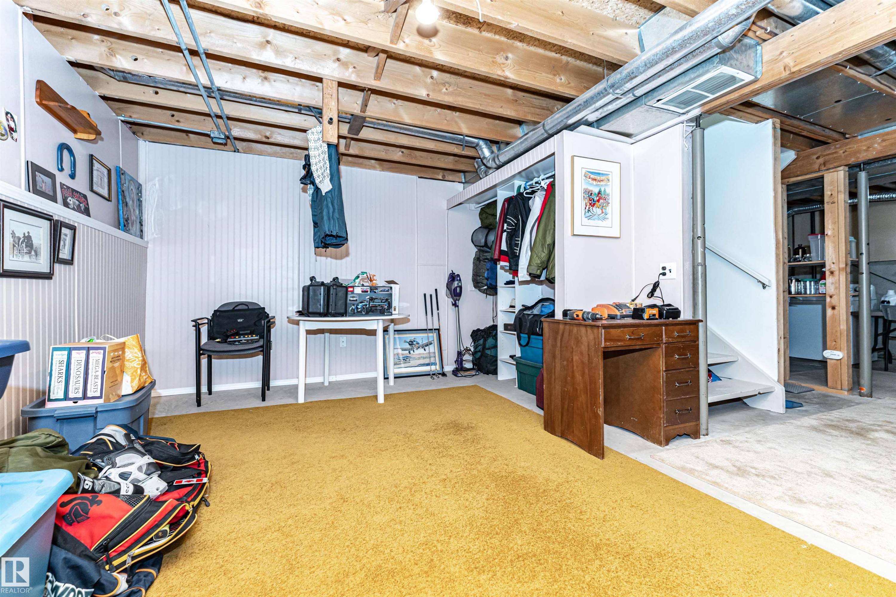 Basement - 18 Walden Park, St. Albert, AB