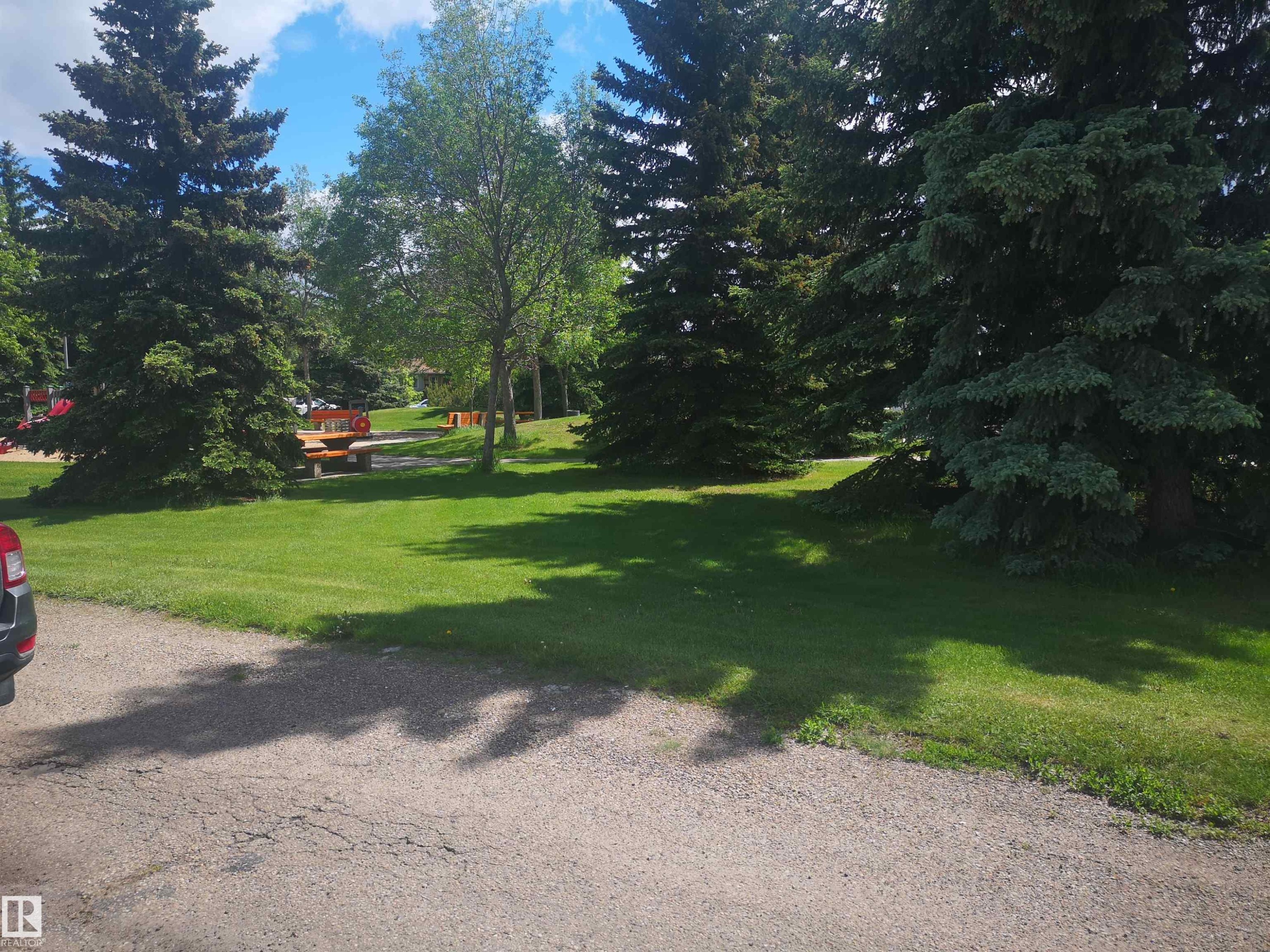 View to park behind the house - 8751 76 Avenue Nw, Edmonton, AB