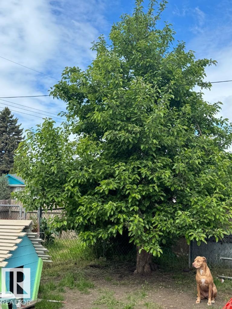 4203 106 Avenue, Edmonton, AB