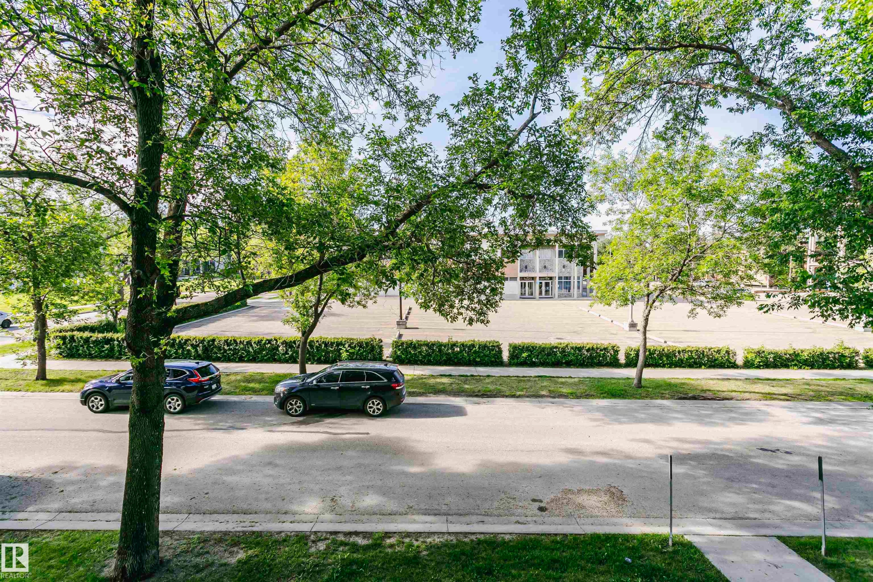 Street-level perspective featuring mature trees, a paved street, and a concrete sidewalk - 211 10808 71 Avenue, Edmonton, AB