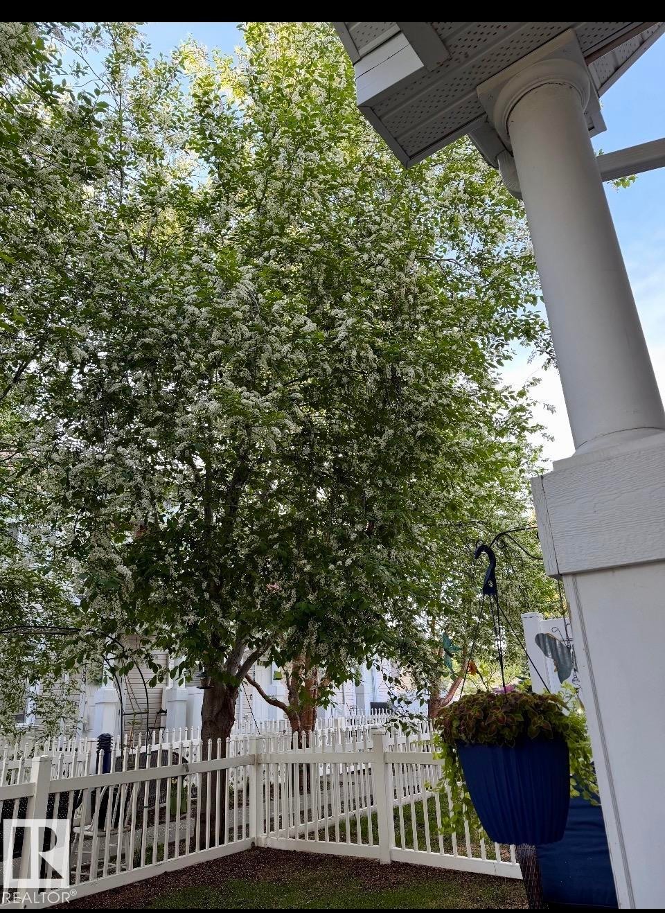 Established tree with abundant white blossoms, white picket fence, and columned porch entry - 184 1804 70 Street, Edmonton, AB