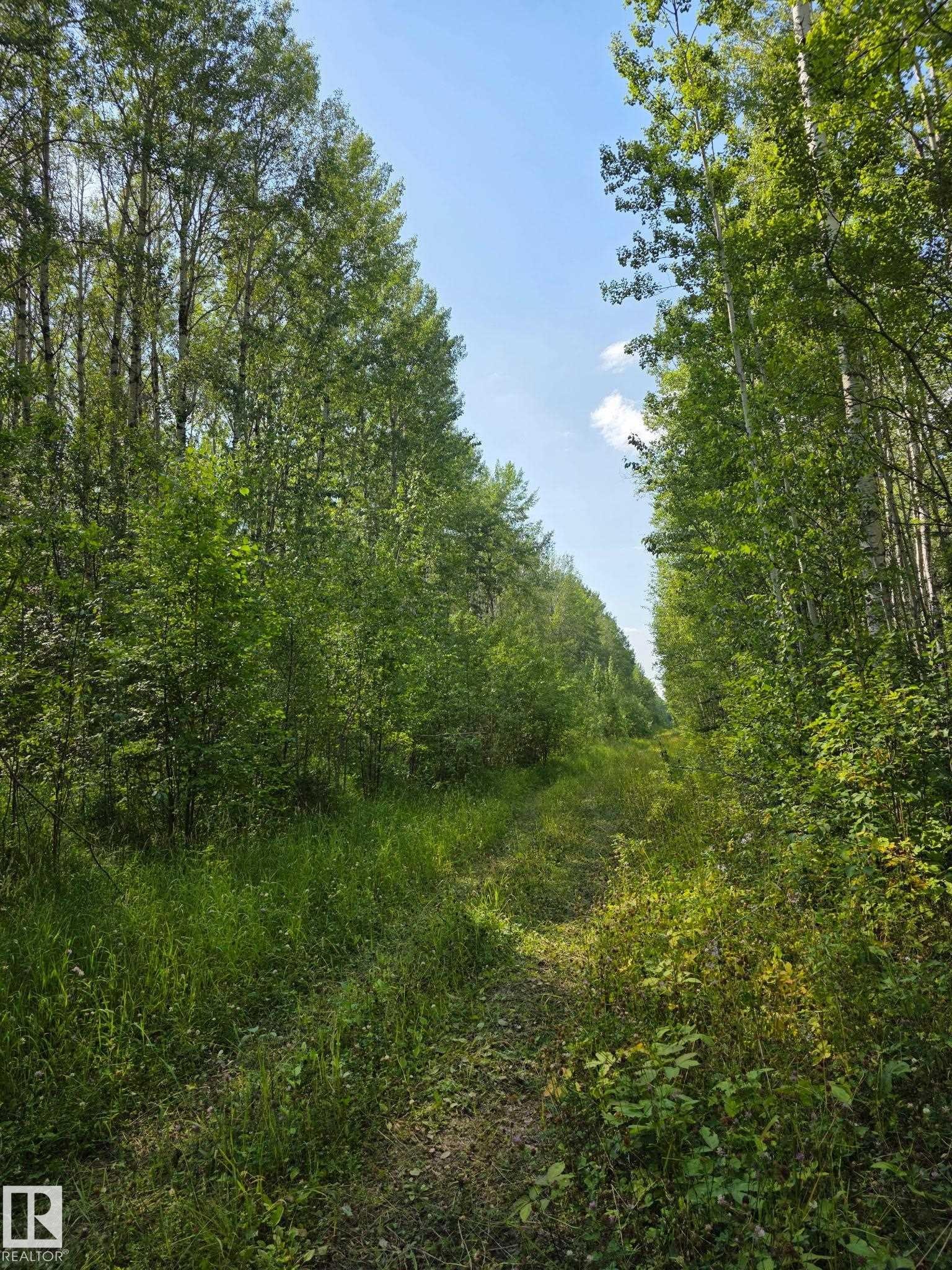 981 Fox Drive, Rural Opportunity M.D., AB