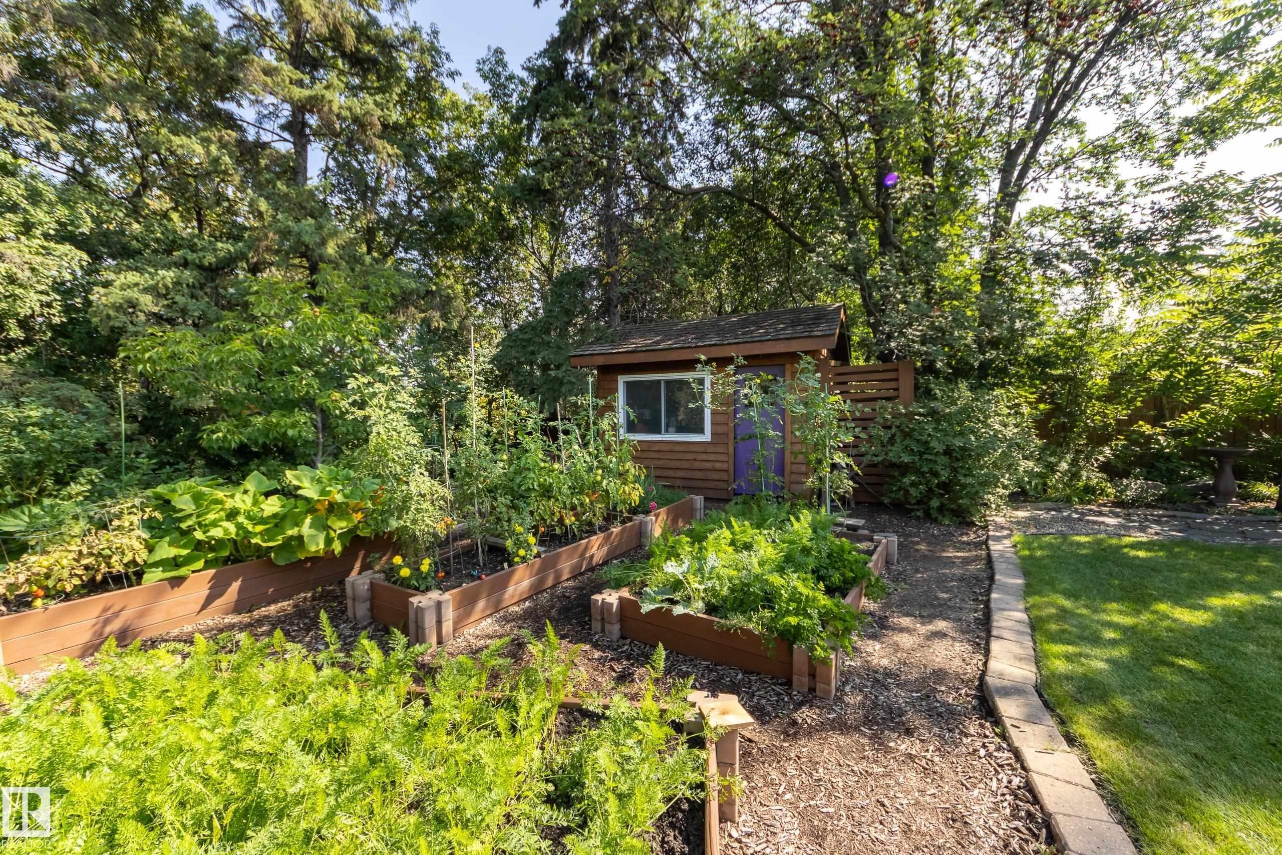 7216 103 Avenue, Edmonton, AB