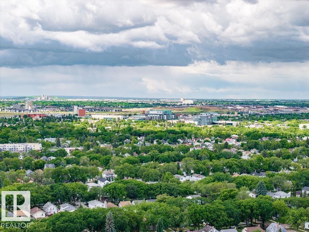 Expansive aerial perspective showcasing a residential landscape with abundant mature trees and distant urban structures - 11241 88 Street, Edmonton, AB