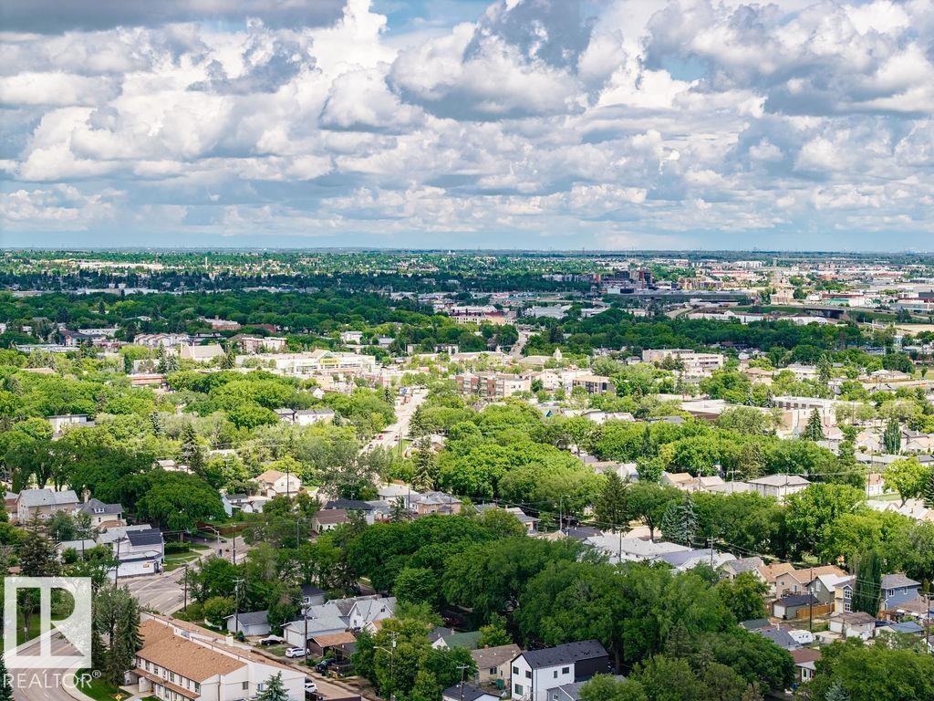 Expansive urban landscape featuring a mix of residential structures and abundant mature tree canopy - 11241 88 Street, Edmonton, AB