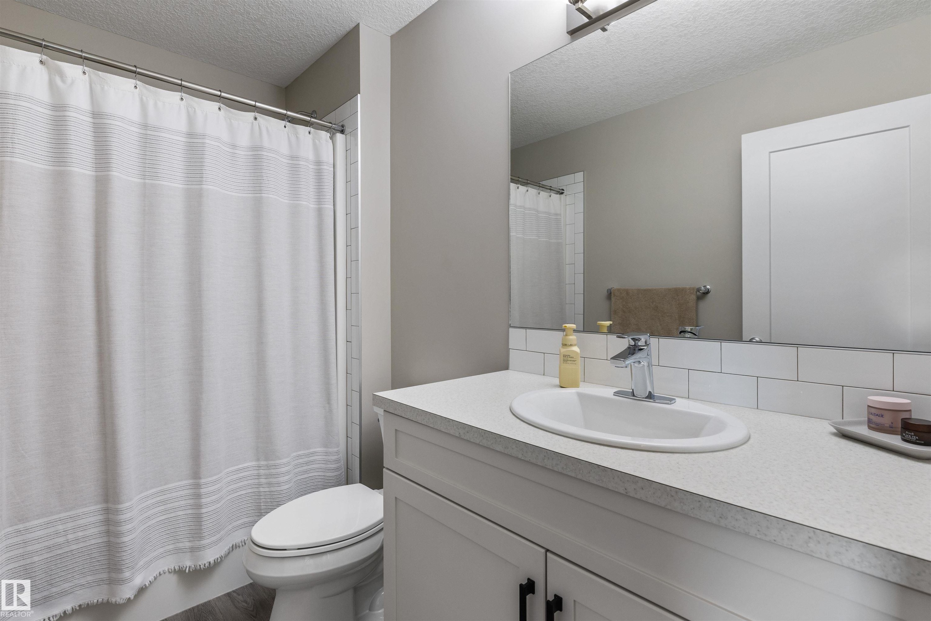 12833 205 Street Nw, Edmonton, AB - Indoor Photo Showing Bathroom
