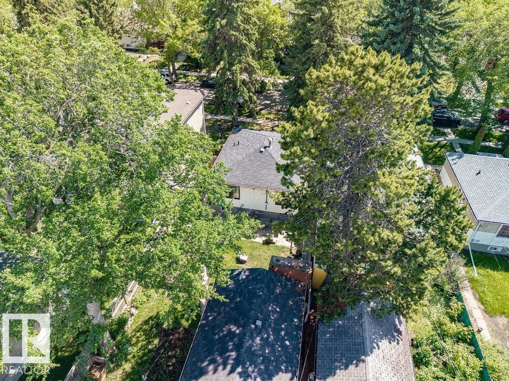 Residential property with a dark shingle roof, surrounded by mature trees - 8318 80 Avenue, Edmonton, AB