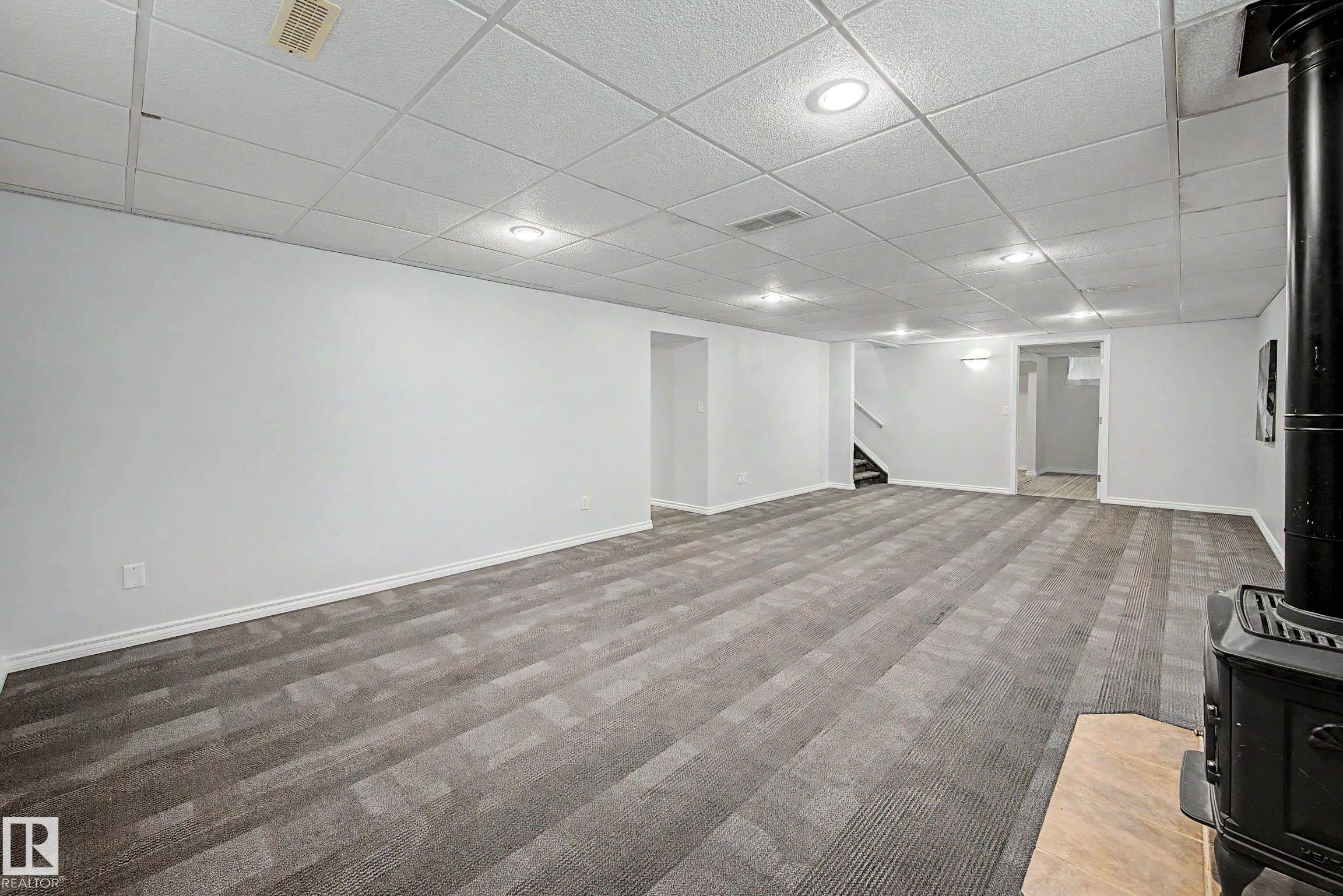 Basement - 3718 103B Street Nw, Edmonton, AB - Indoor