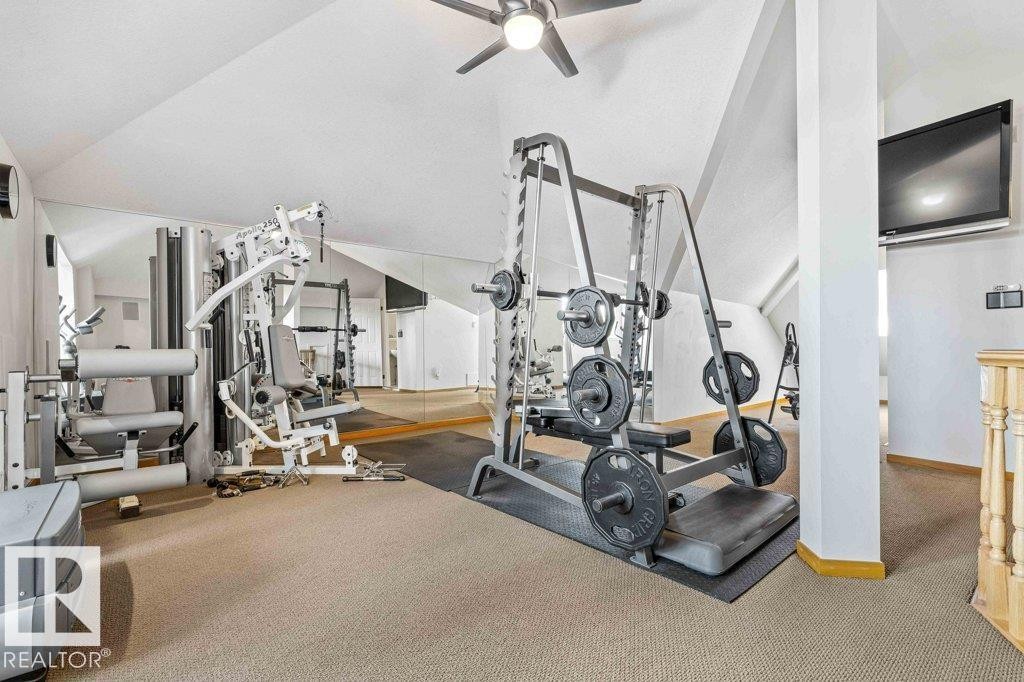 3rd storey Bonus room with Gym - 738 Wheeler Road, Edmonton, AB