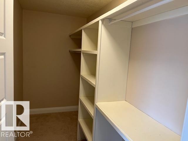 Walk-in closet featuring built-in shelving, ample hanging space, and light-toned carpeting - 805 Hodgins Road, Edmonton, AB