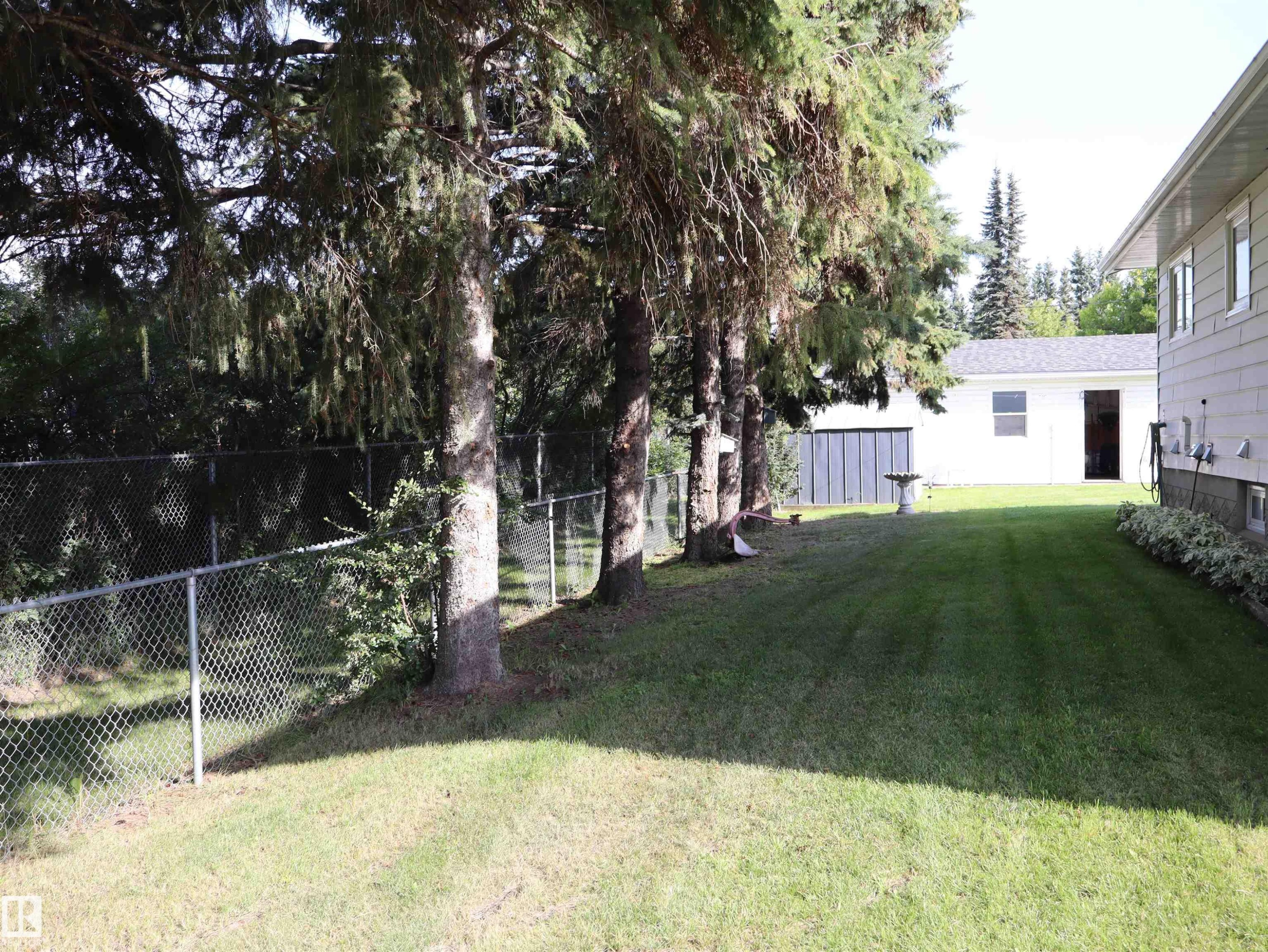 Manicured lawn with mature trees, chain-link fencing, and a white detached garage - 5530 46 Street, Barrhead, AB - Outdoor
