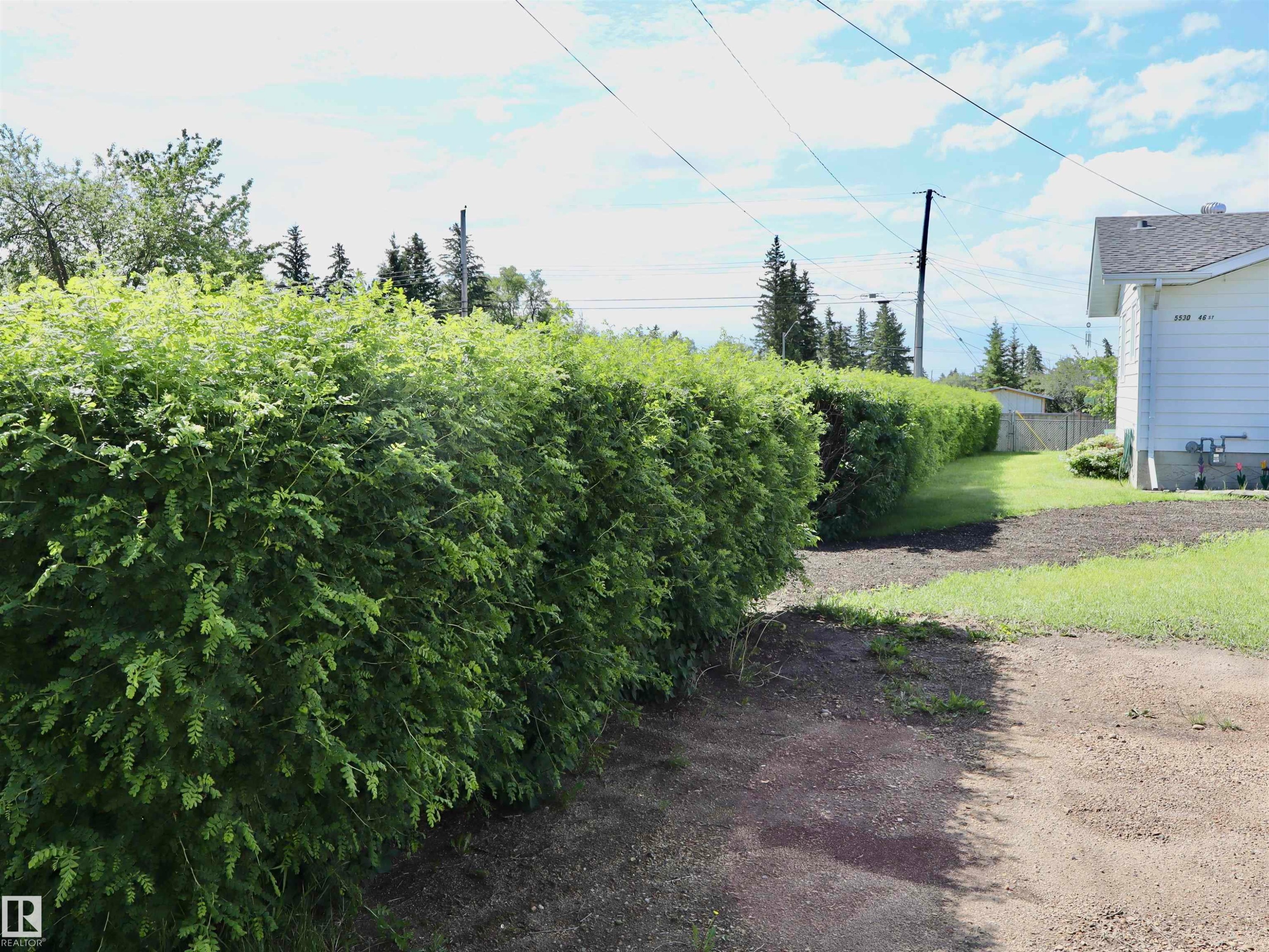 Established green hedging providing perimeter privacy - 5530 46 Street, Barrhead, AB