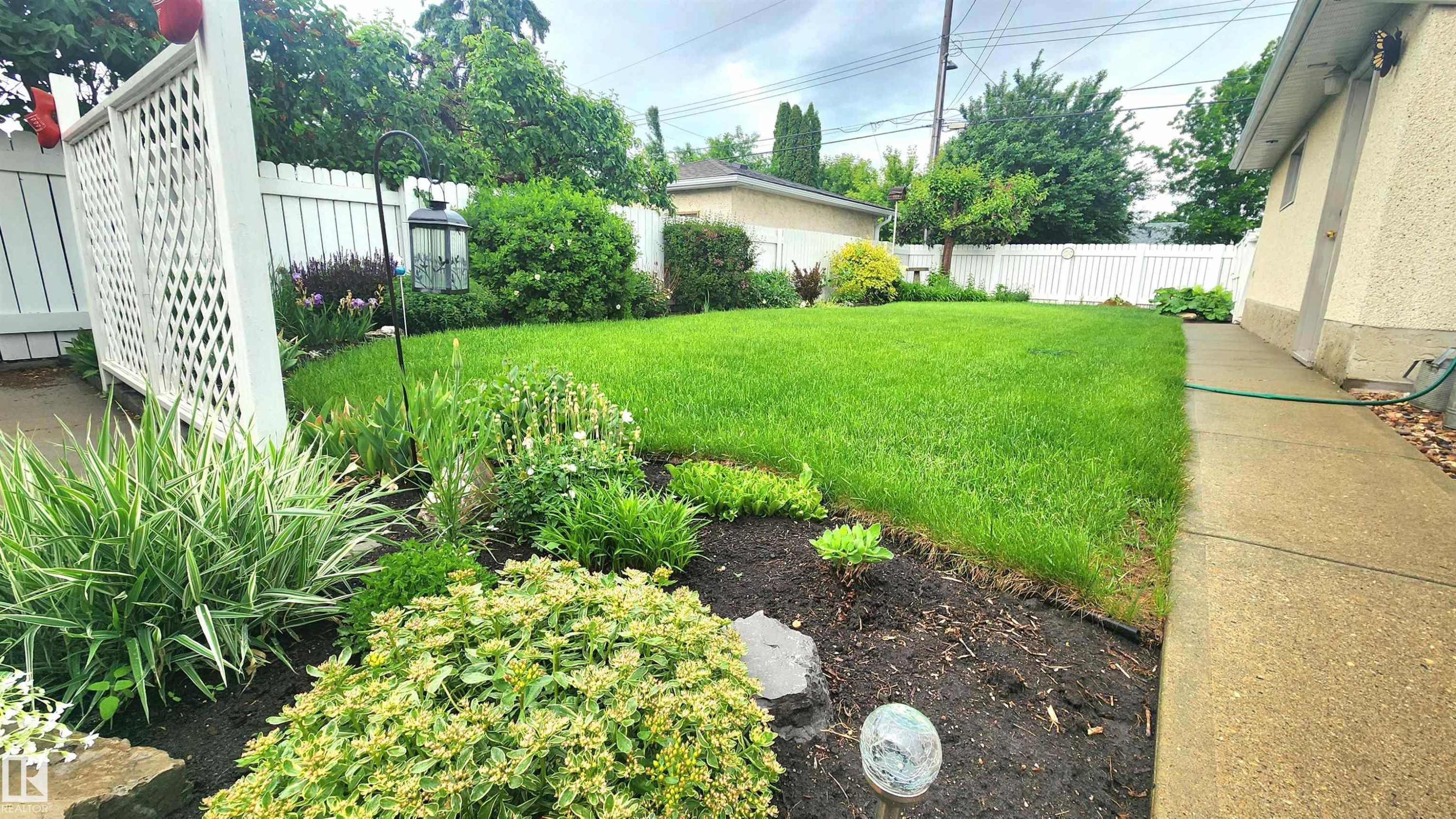 Expansive backyard featuring a lush lawn, mature perimeter shrubbery, and a white lattice privacy screen - 13307 Delwood Road, Edmonton, AB