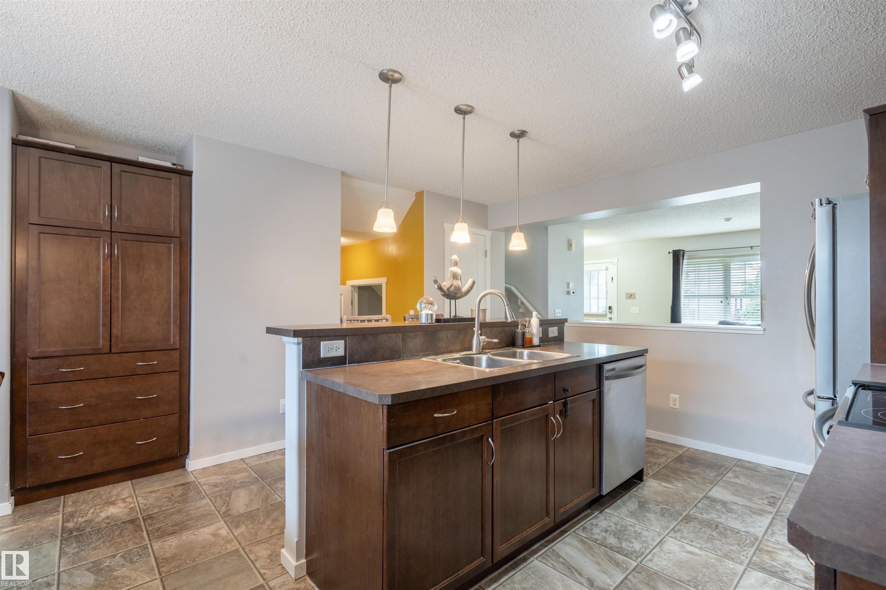 165 62 Street Sw, Edmonton, AB - Indoor Photo Showing Kitchen With Double Sink
