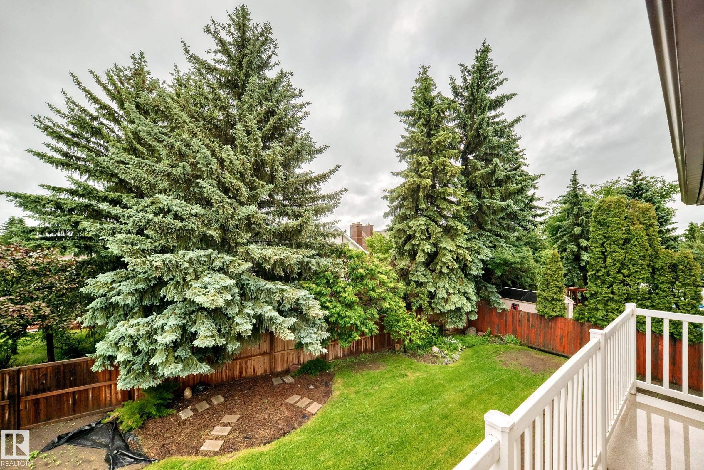 Expansive backyard featuring mature evergreen trees, a manicured lawn, and a wood-tone privacy fence - 9843 188 Street, Edmonton, AB