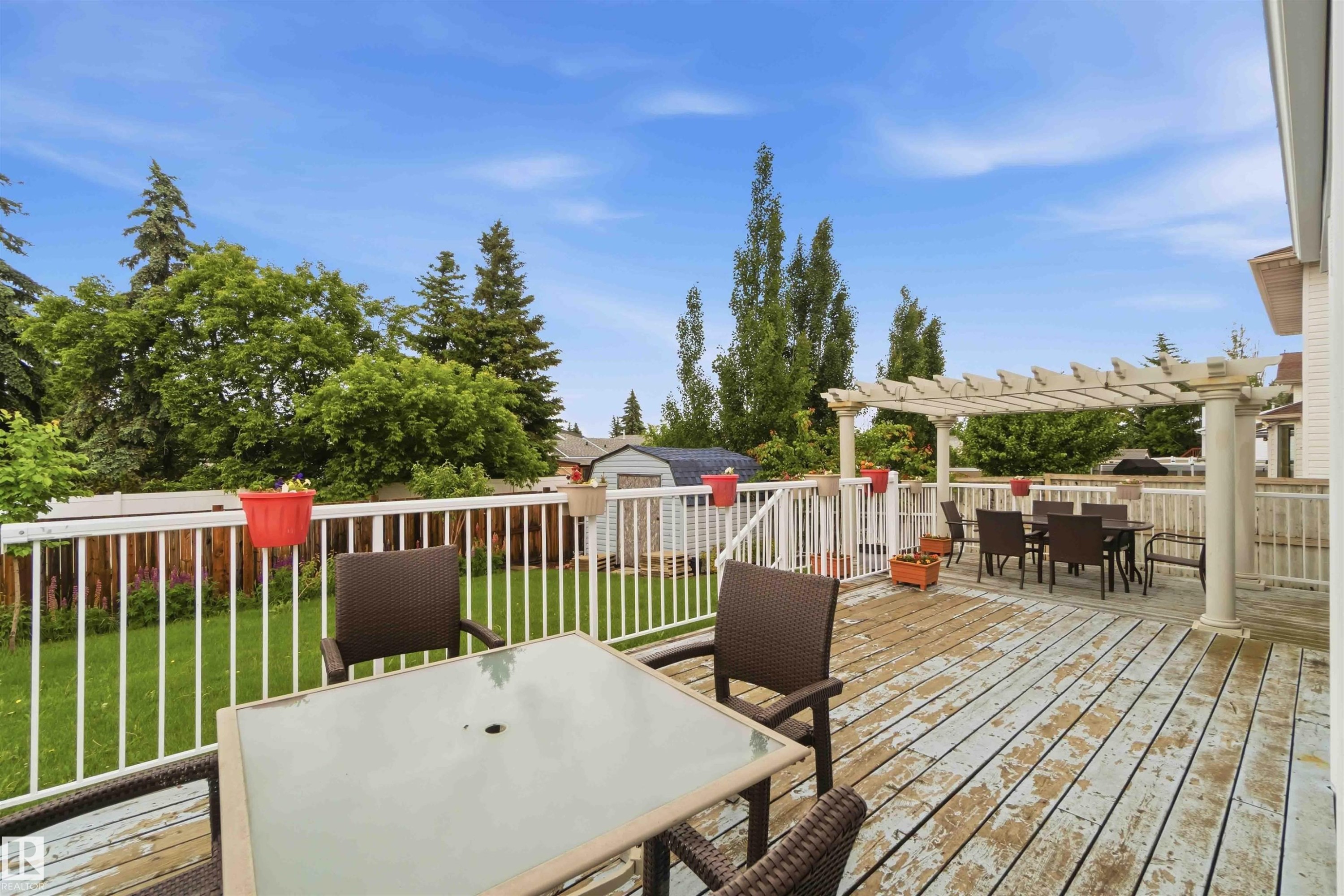 Expansive outdoor deck featuring a decorative pergola, white railing, and a private backyard with mature trees - 4428 11A Avenue Nw, Edmonton, AB - Outdoor With Deck Patio Veranda With Exterior