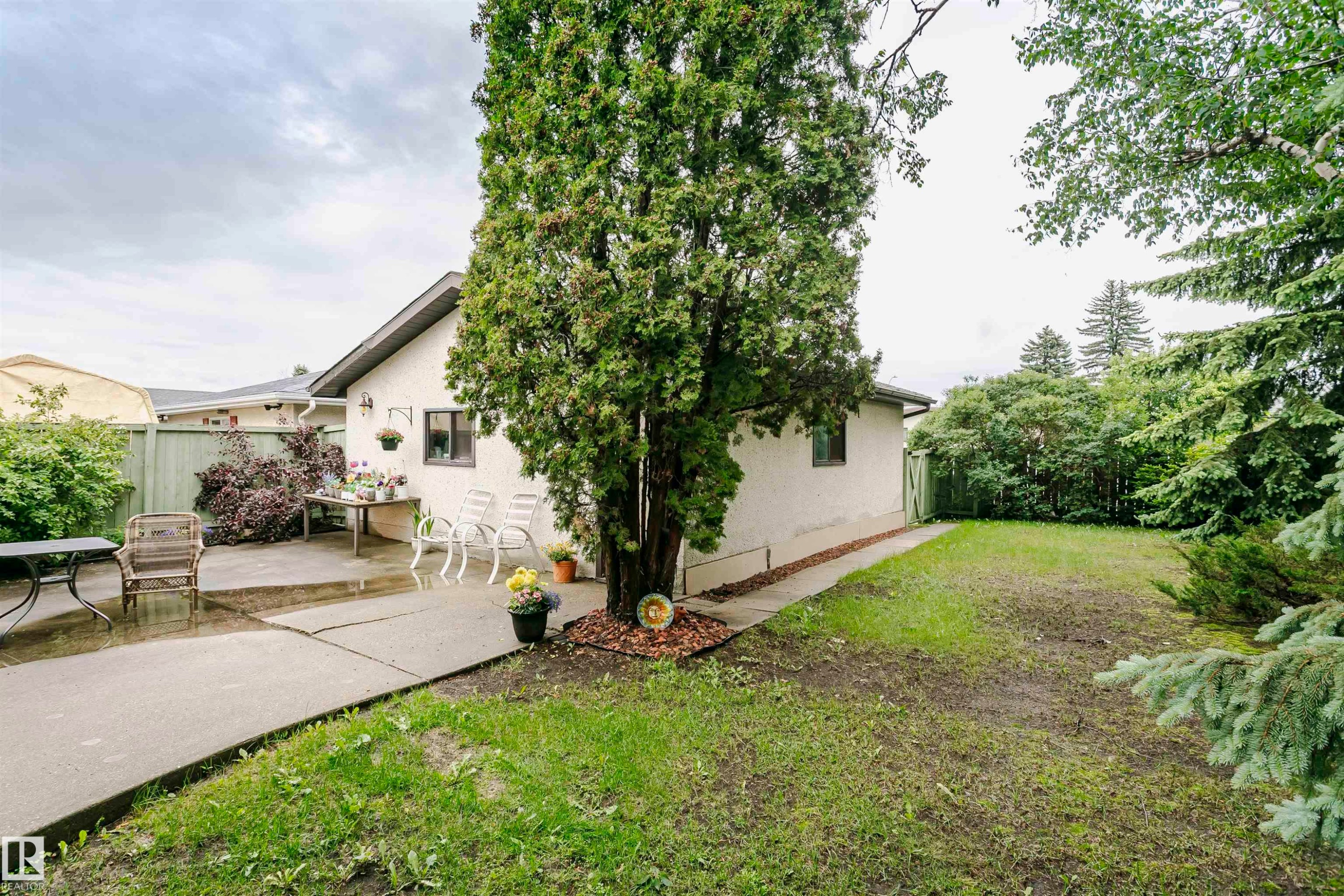 Spacious backyard featuring a large concrete patio, mature trees, a manicured lawn, and a light-colored stucco exterior - 14231 80 Street, Edmonton, AB
