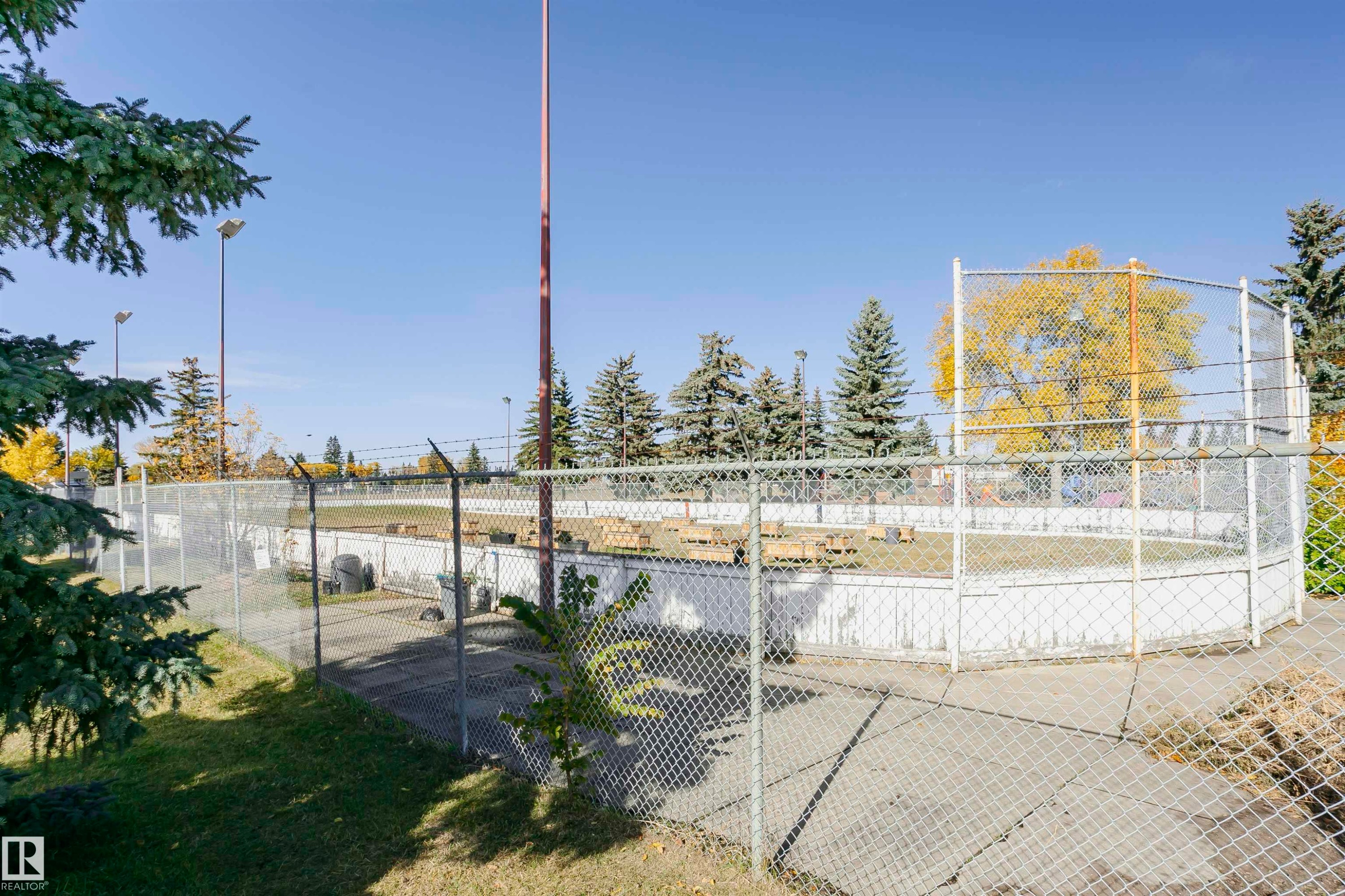 Fenced outdoor recreation area with chain-link fencing, concrete base, and surrounding mature trees - 14231 80 Street, Edmonton, AB