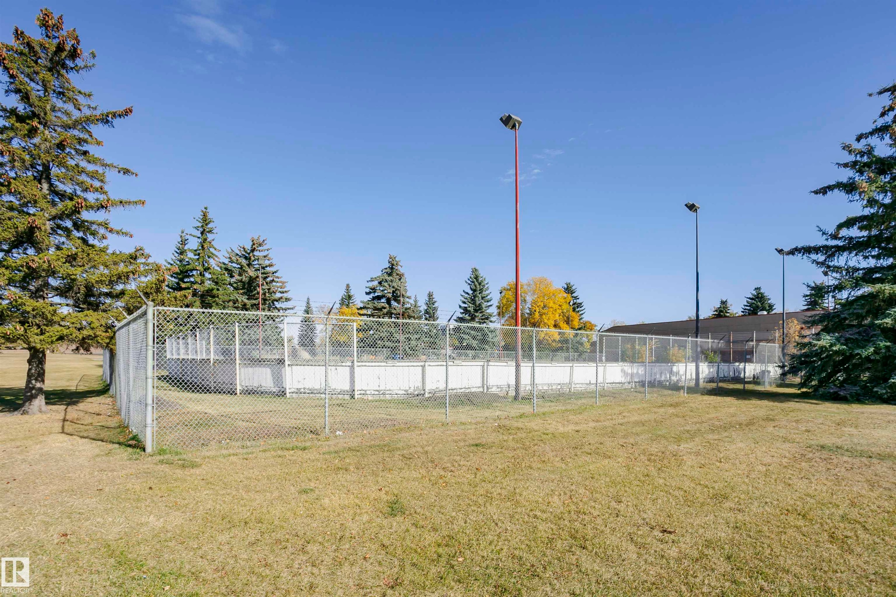 Outdoor recreational court enclosed by chain-link fencing, featuring multiple overhead light poles and a basketball hoop - 14231 80 Street, Edmonton, AB