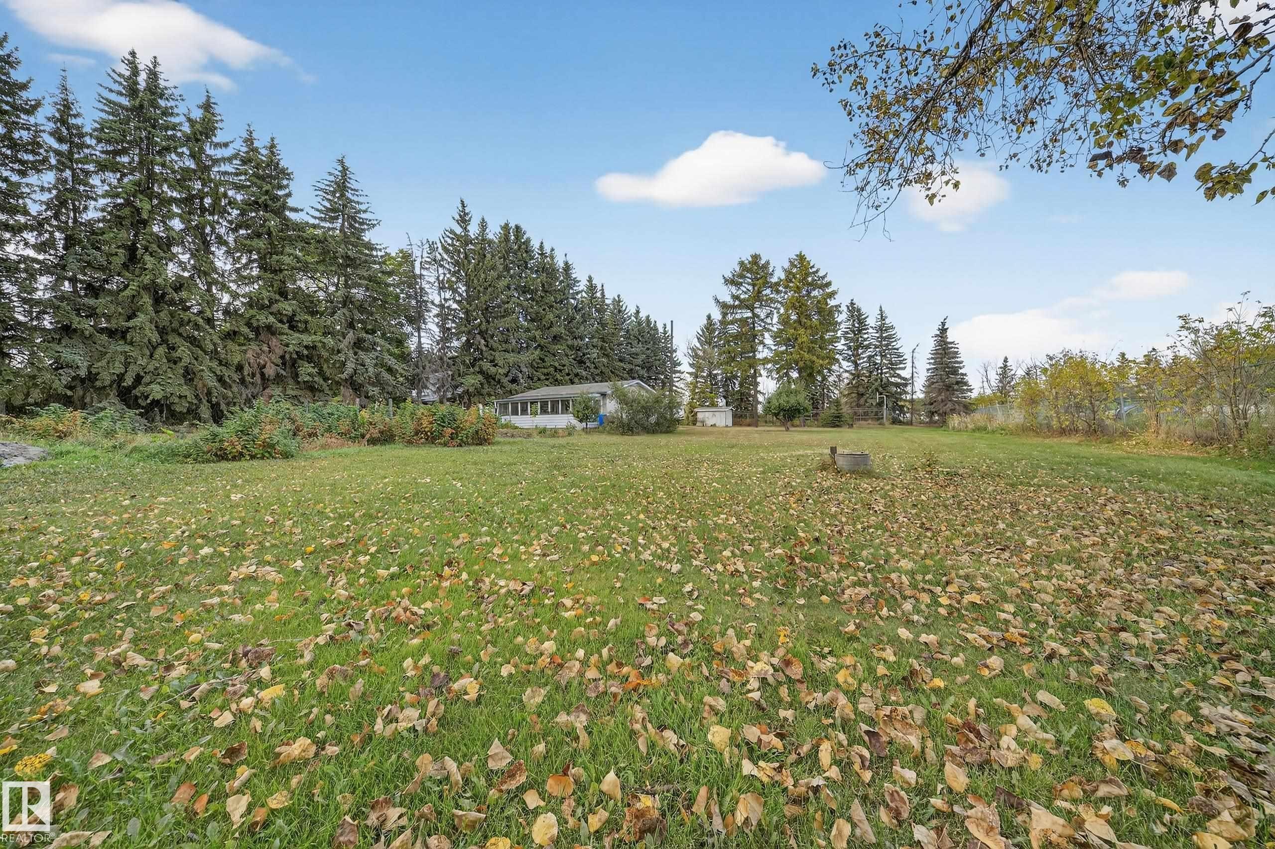 Expansive green lawn with scattered deciduous leaves - 707 65 Avenue, Edmonton, AB