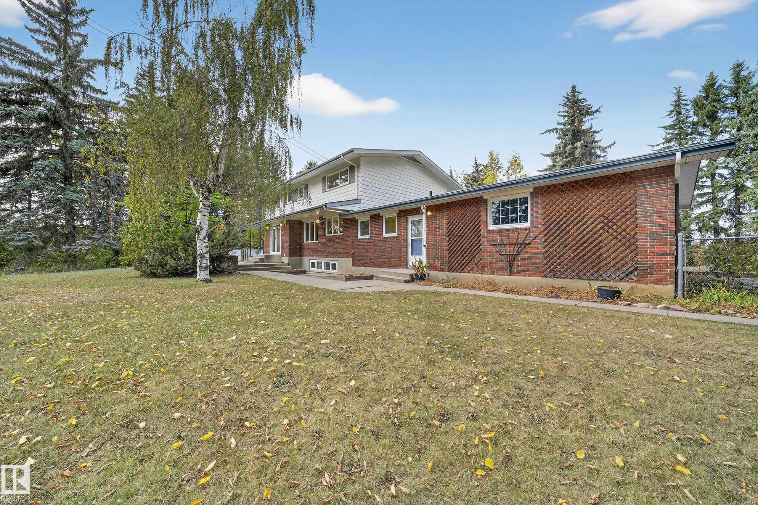 Brick and siding exterior featuring multiple windows and a mature birch tree - 707 65 Avenue, Edmonton, AB