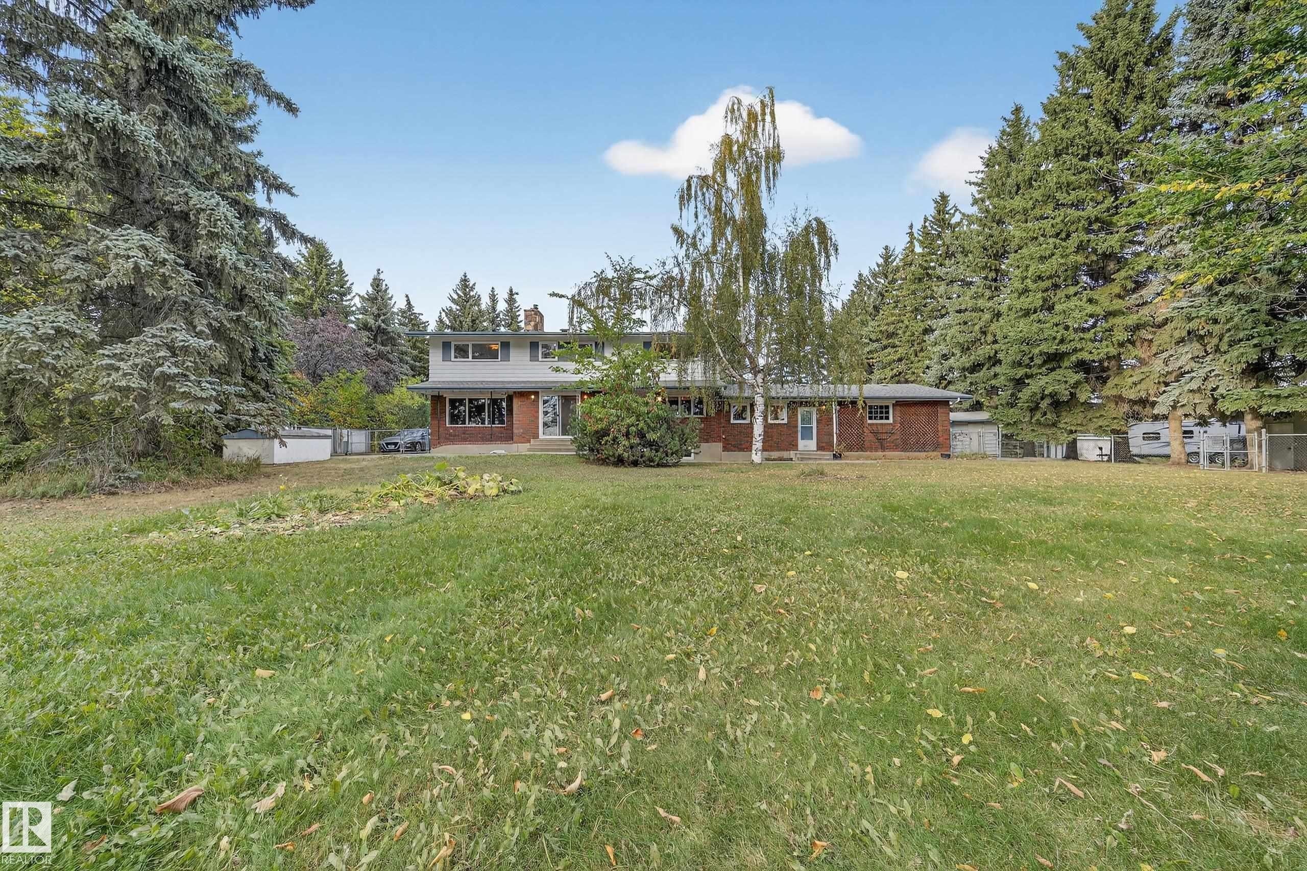 Expansive front lawn with mature evergreen trees bordering the property - 707 65 Avenue, Edmonton, AB