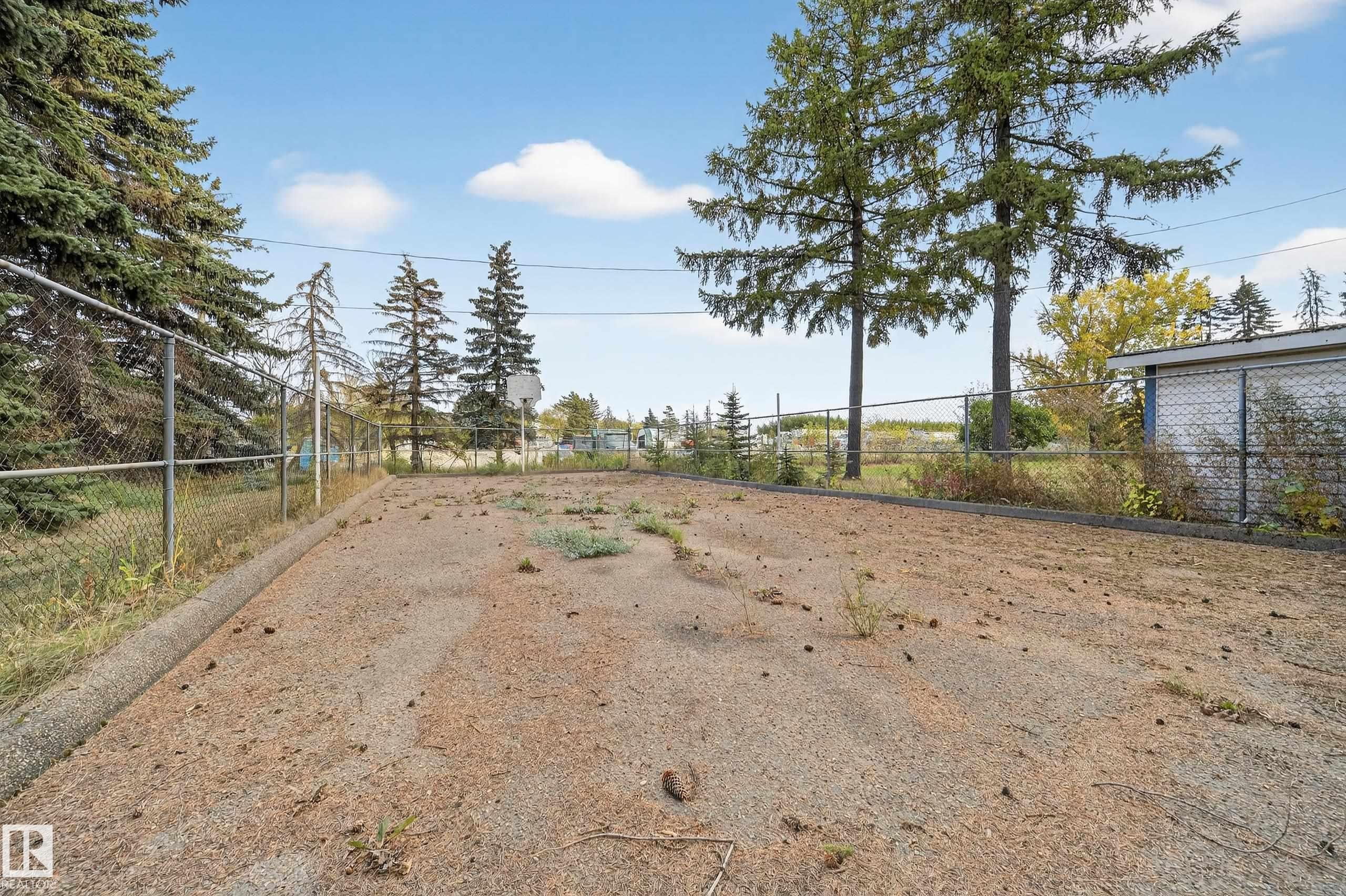 Outdoor recreational space featuring a paved court, chain-link fencing, mature evergreen trees, and a basketball hoop - 707 65 Avenue, Edmonton, AB