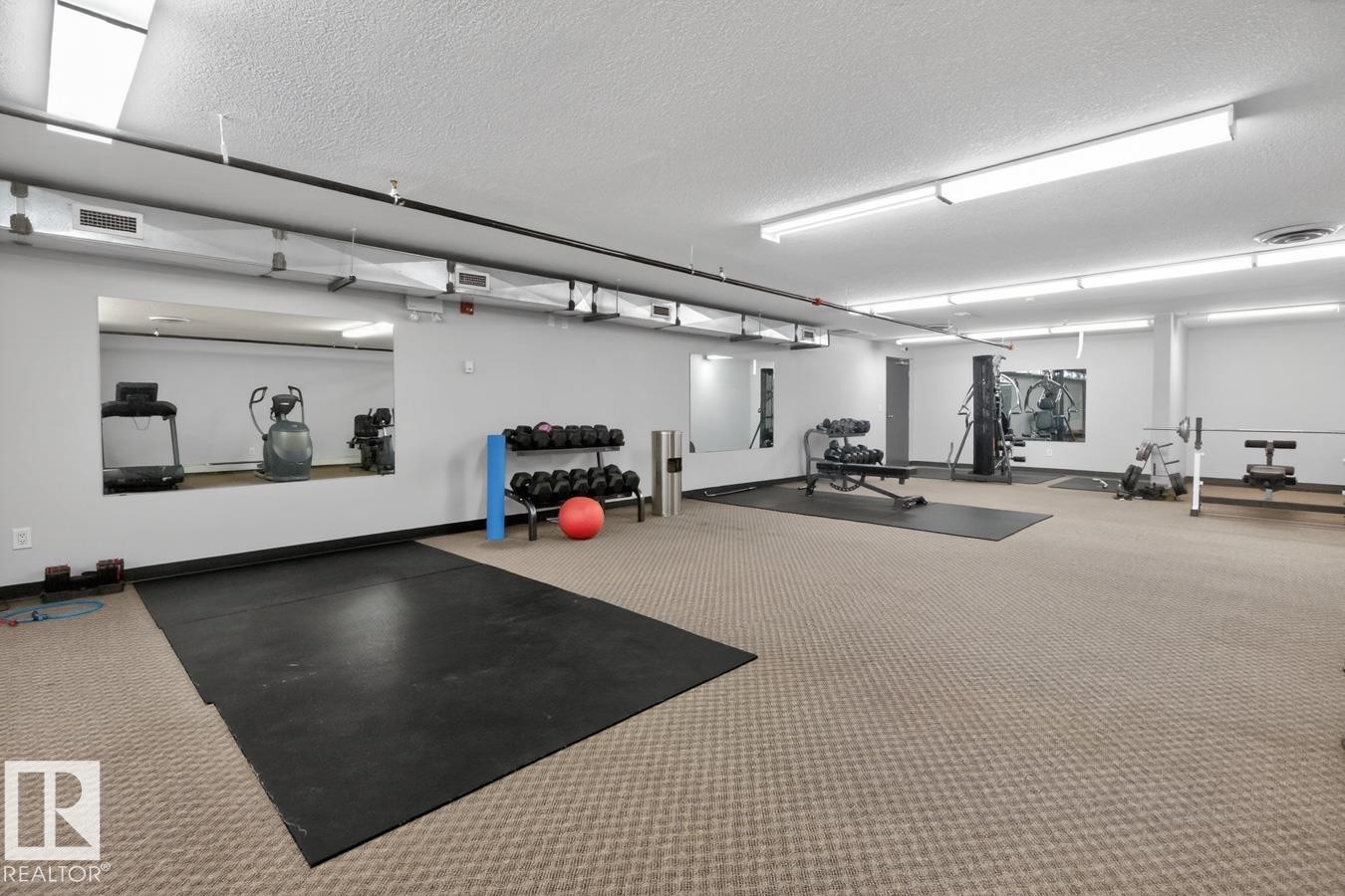 Dedicated fitness room featuring carpeted flooring, mirrored walls, and flush-mounted ceiling lighting - 320 5005 165 Avenue, Edmonton, AB - Indoor Photo Showing Garage
