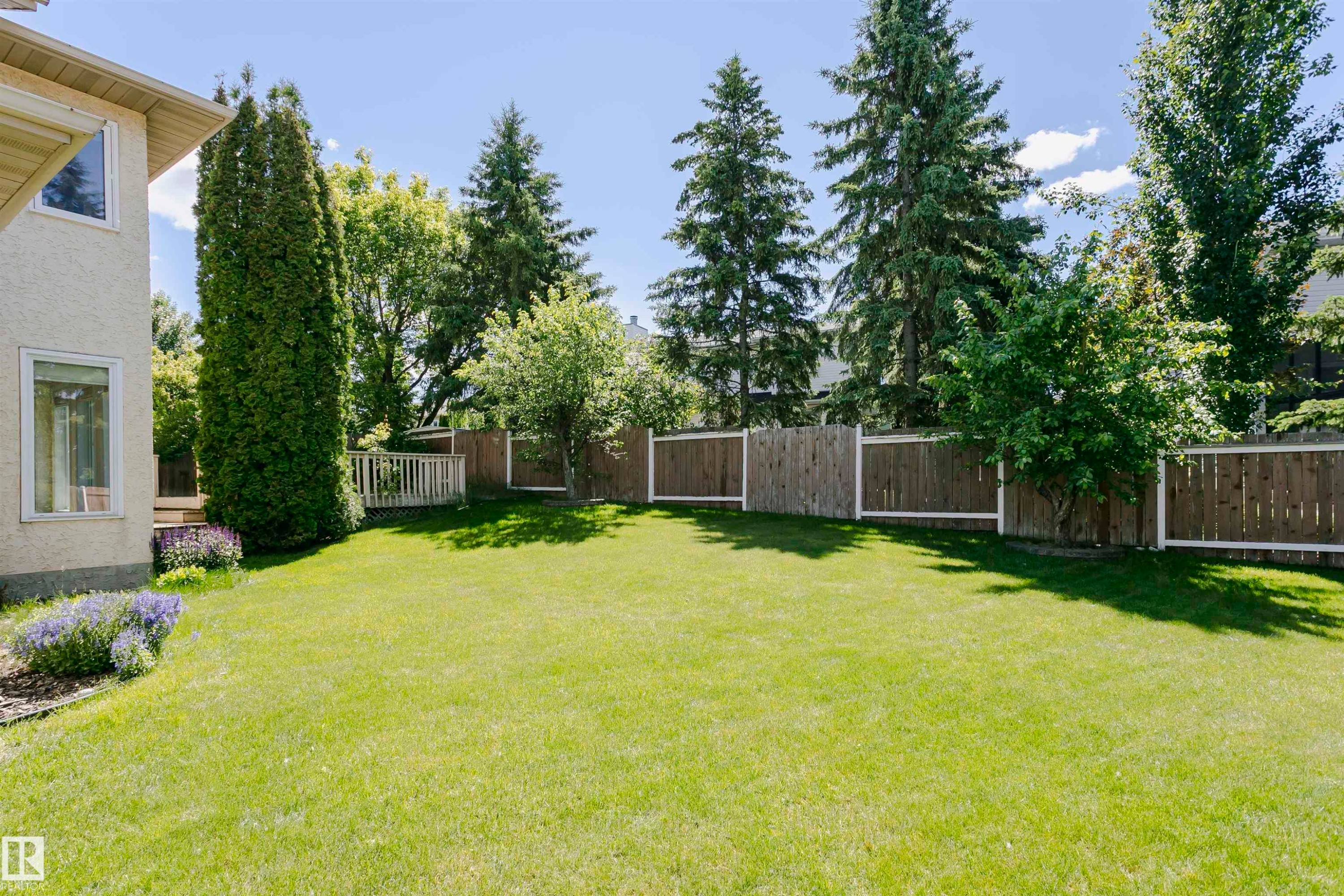 Expansive green lawn with established landscaping, featuring mature trees and shrubs - 11023 11A Avenue Nw, Edmonton, AB - Outdoor