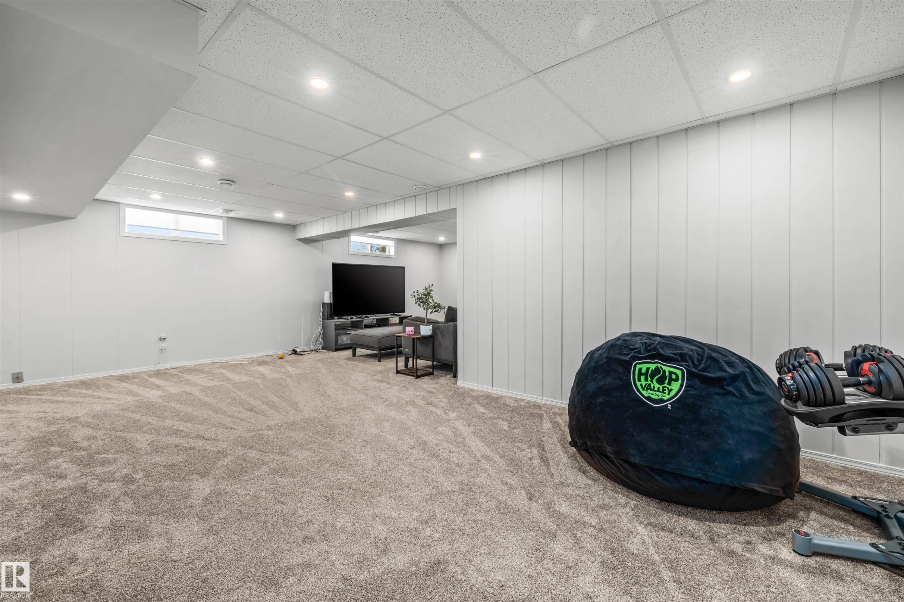 10130 62 Street, Edmonton, AB - Indoor Photo Showing Basement