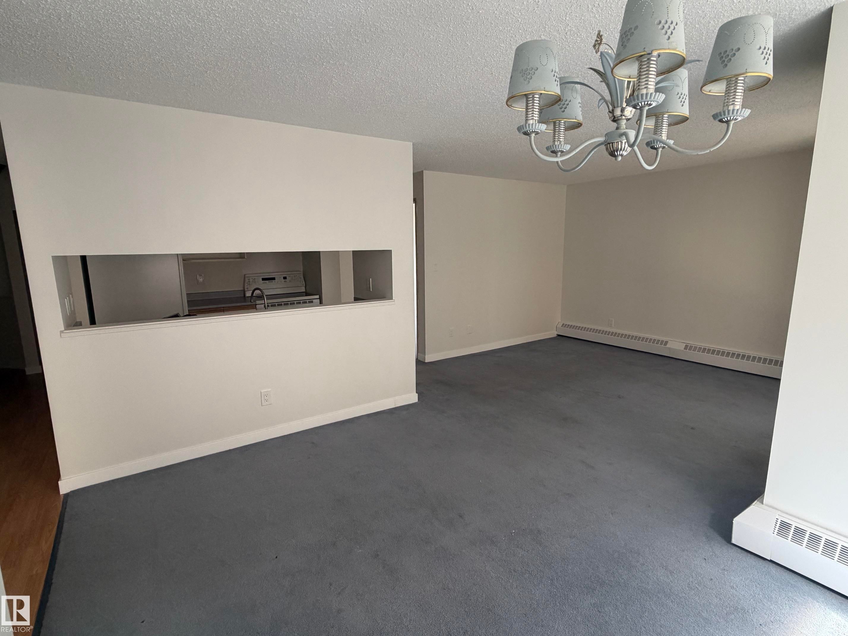 Spacious room featuring gray carpeting and white painted walls - 213 17467 98A Avenue, Edmonton, AB