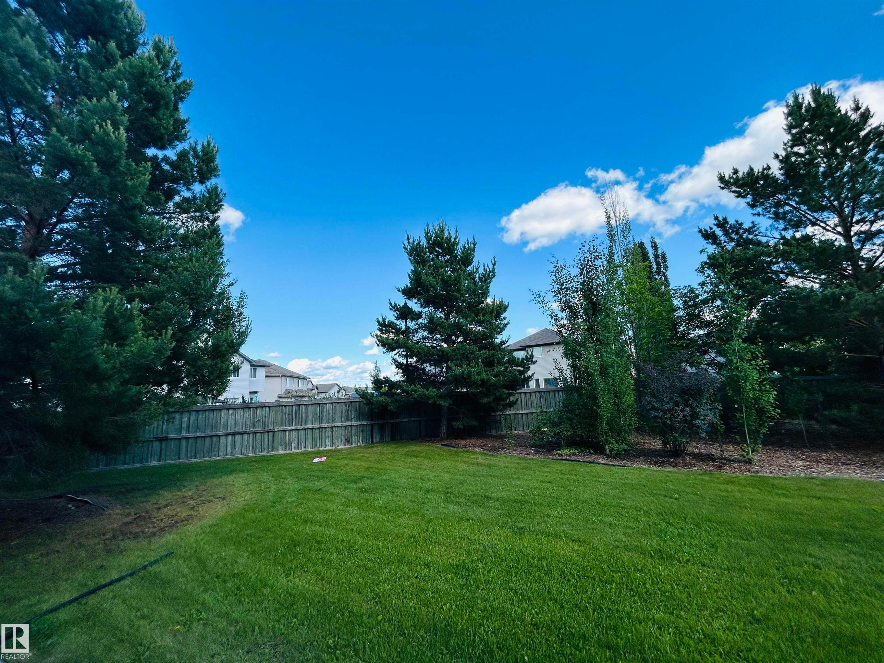 Expansive green lawn with a perimeter wood fence, surrounded by mature evergreen trees and varied deciduous plantings - 89 12050 17 Avenue, Edmonton, AB
