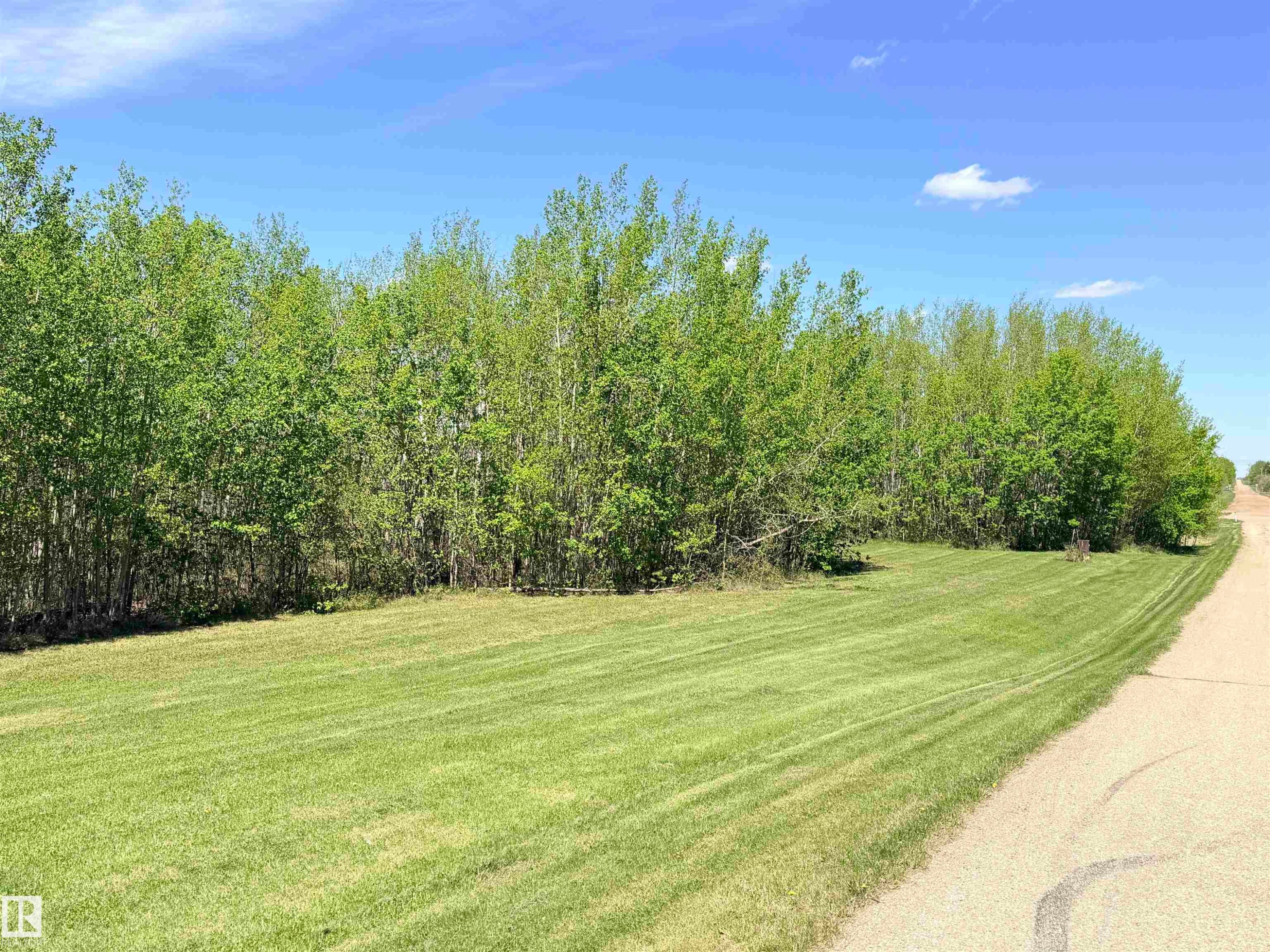 Expansive parcel featuring a verdant lawn, mature deciduous trees, and a visible road border - 50 Ave. 52 St., Rural Westlock County, AB