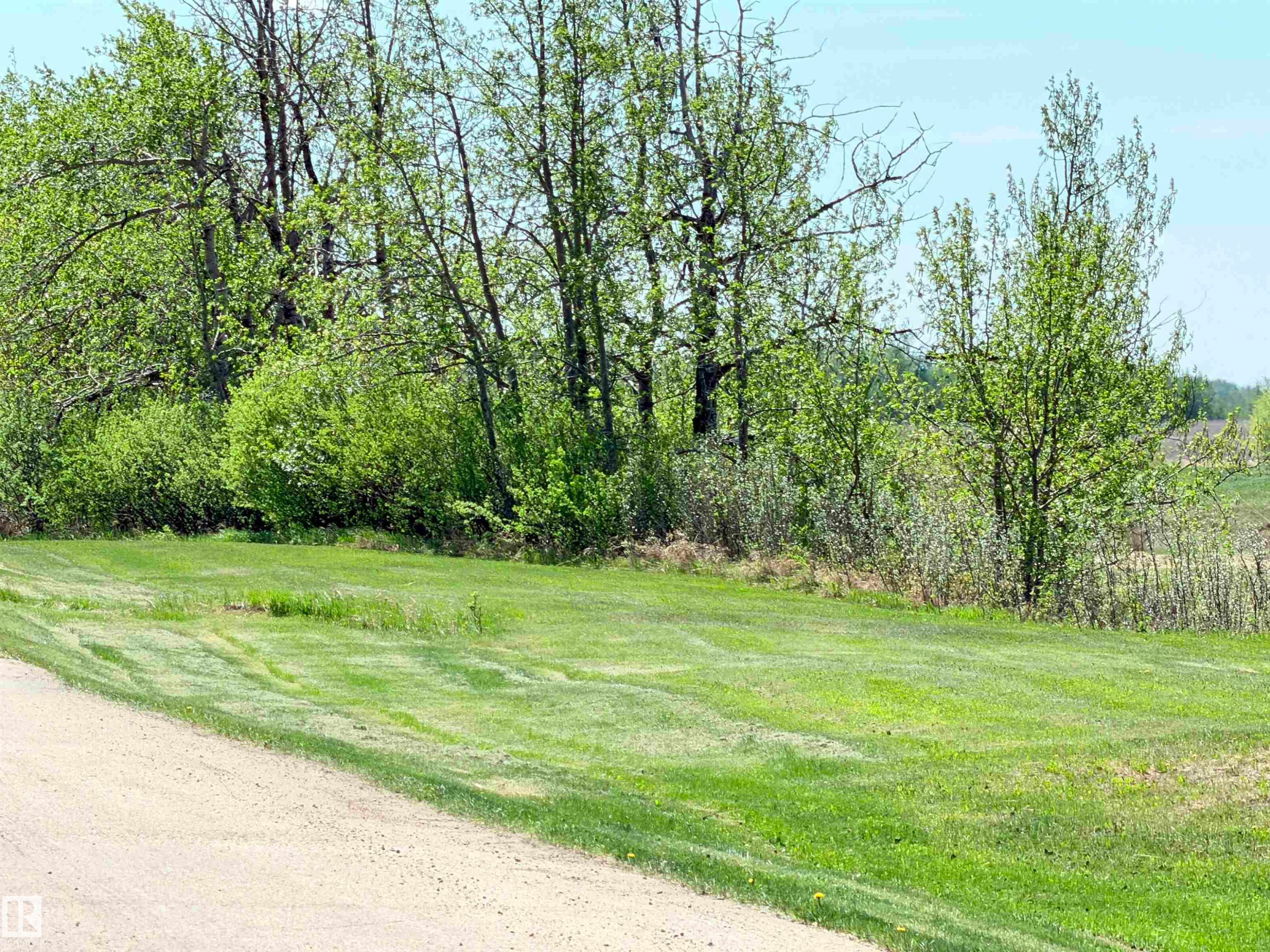 Expansive green lawn with a natural tree line backdrop - 50 Ave. 52 St., Rural Westlock County, AB