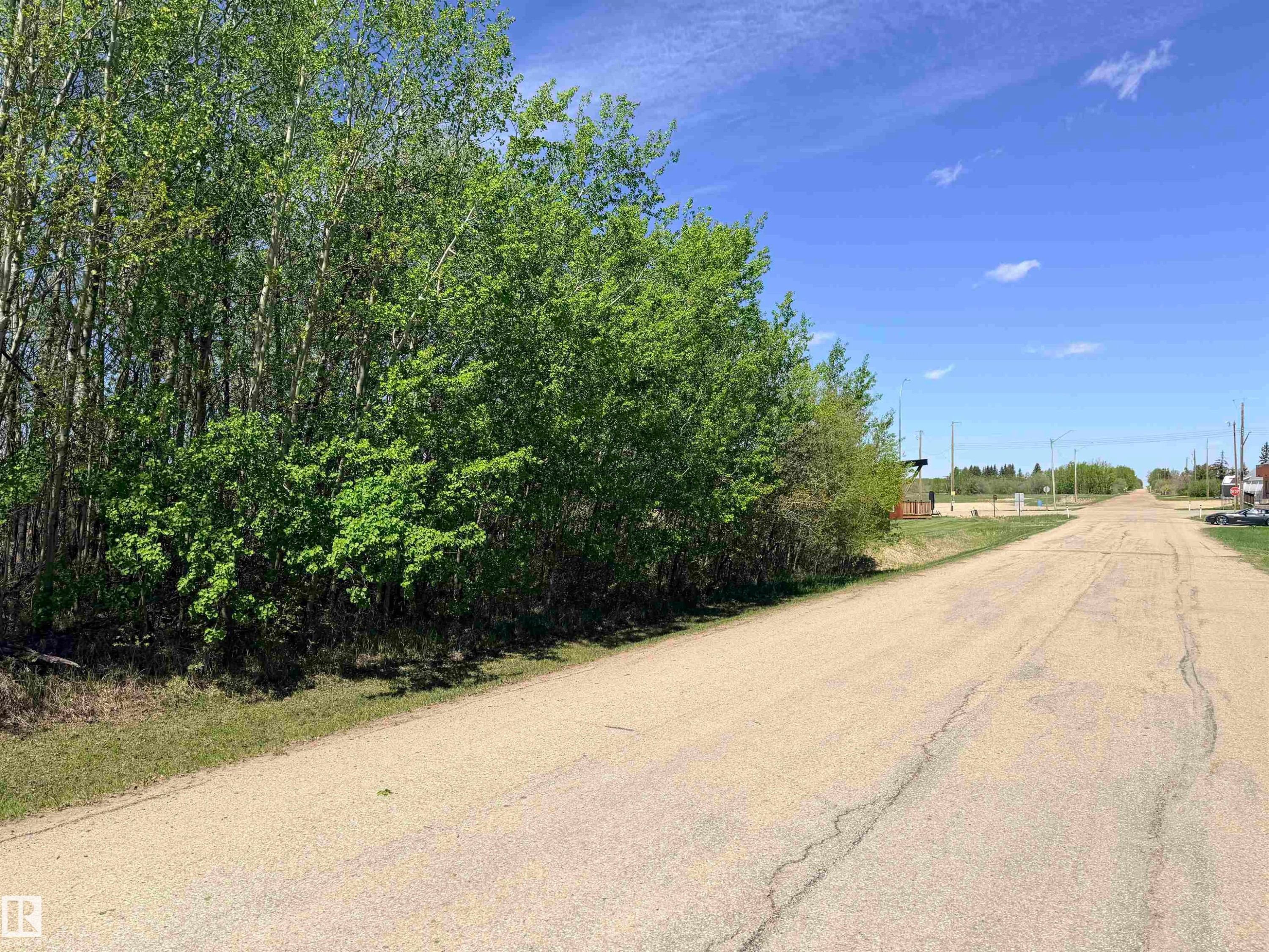 Expansive undeveloped lot with mature trees and natural vegetation - 50 Ave. 52 St., Rural Westlock County, AB