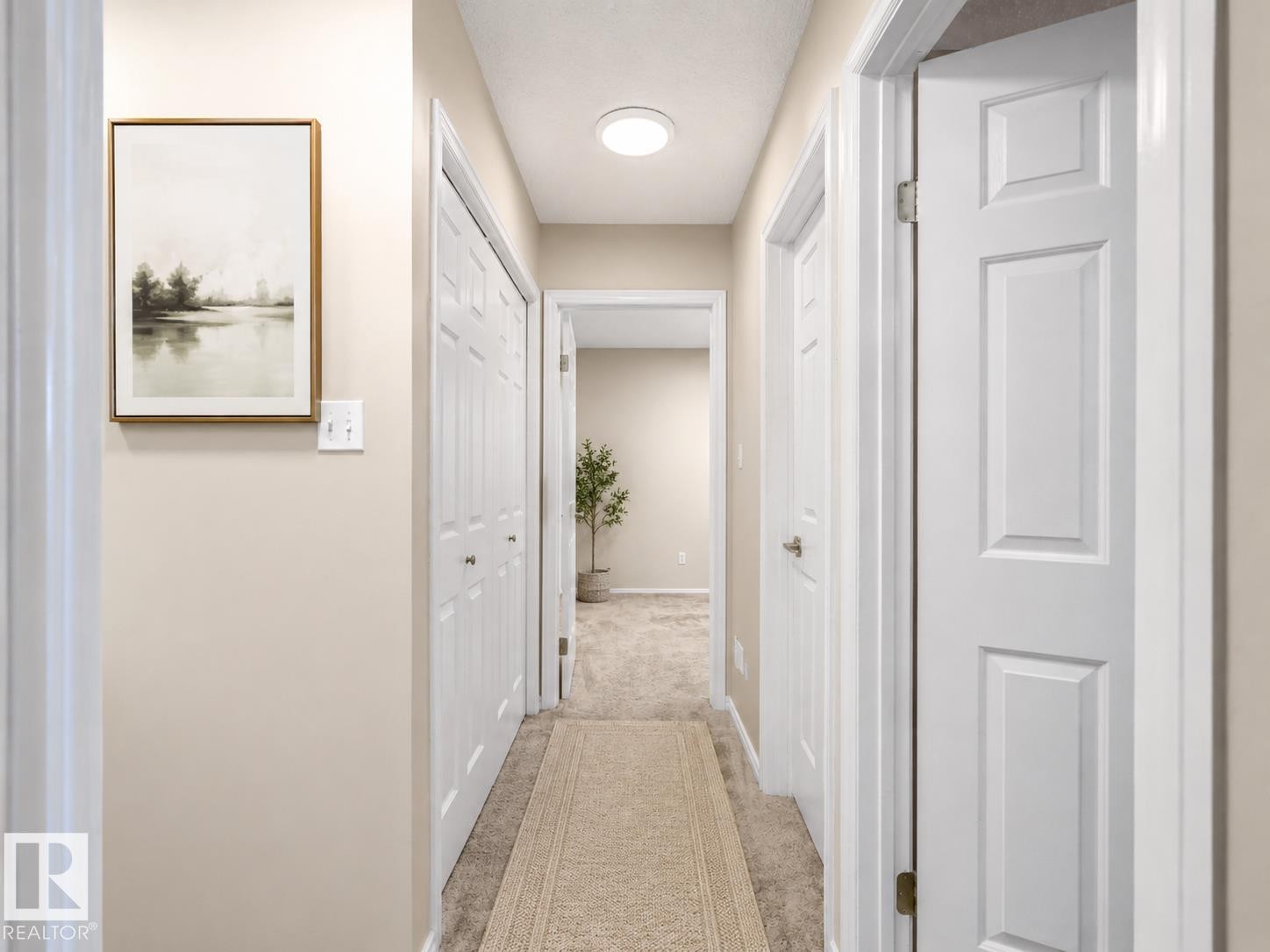 Carpeted hallway featuring a flush-mount ceiling light, white panel doors, and neutral-toned walls - 1855 Mill Woods Rd E Nw, Edmonton, AB