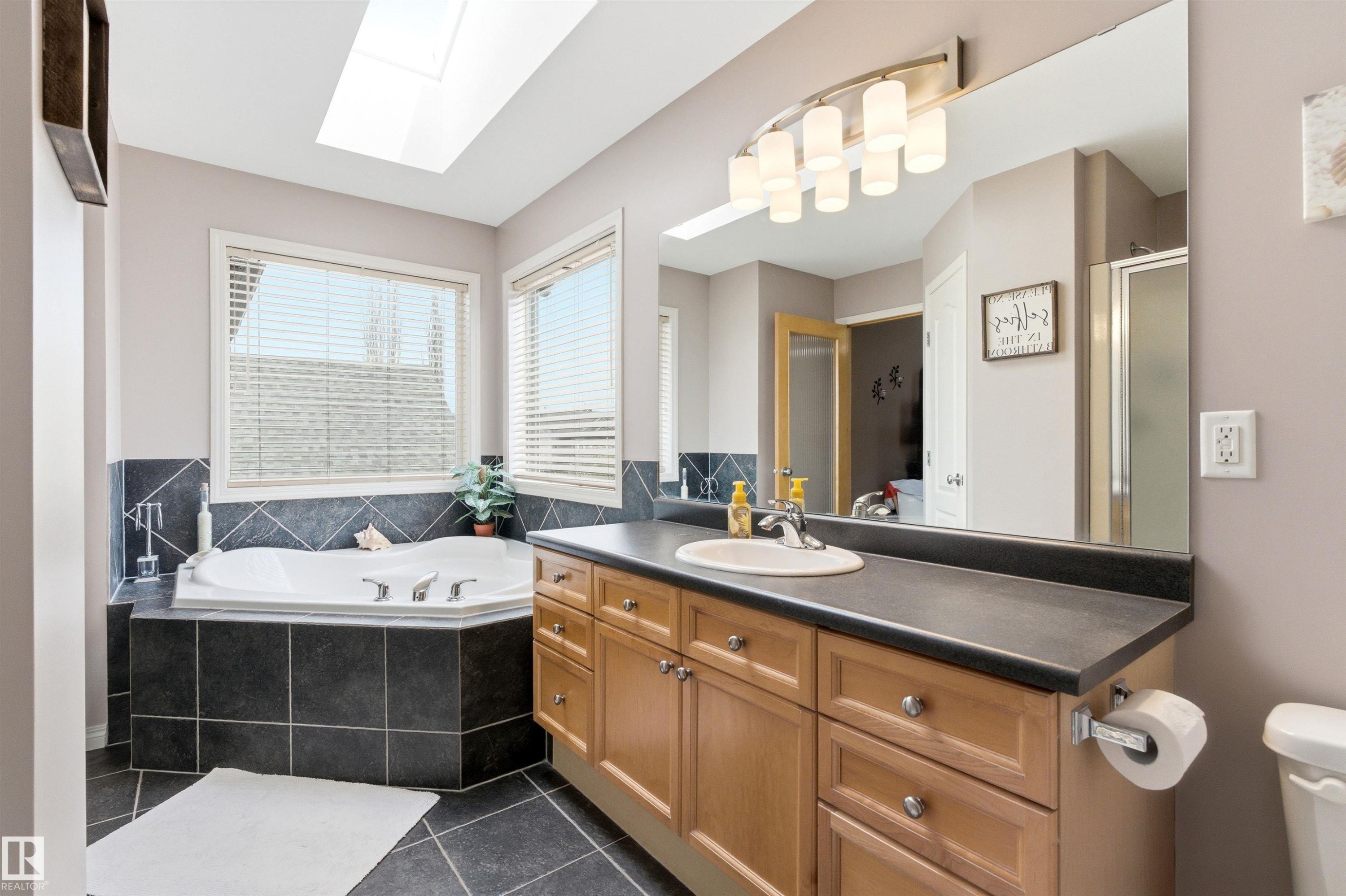 7307 Singer Way, Edmonton, AB - Indoor Photo Showing Bathroom