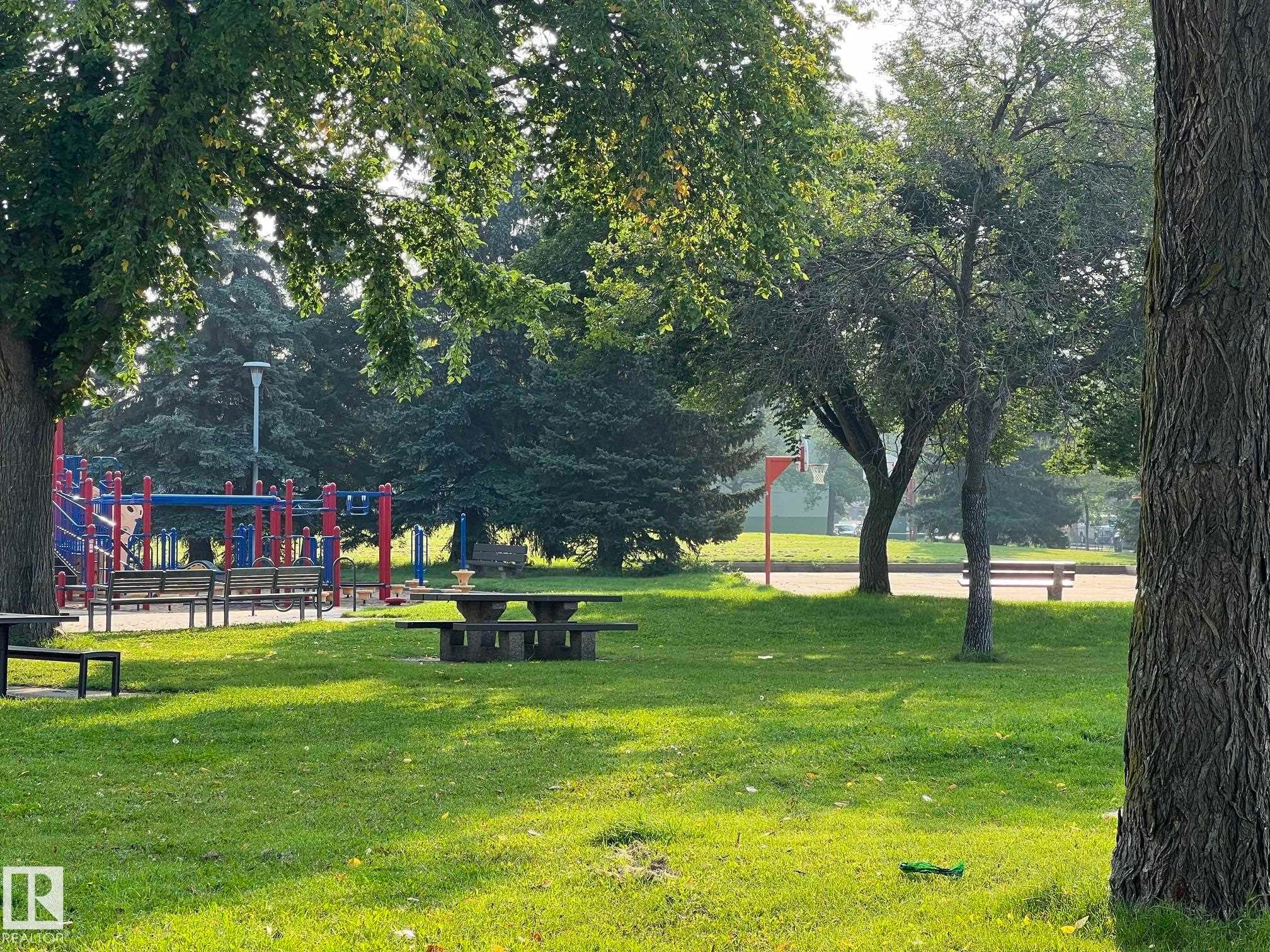 Expansive green space featuring mature trees and a picnic area with a concrete table and benches - 7923 94 Avenue Nw, Edmonton, AB - Outdoor With View