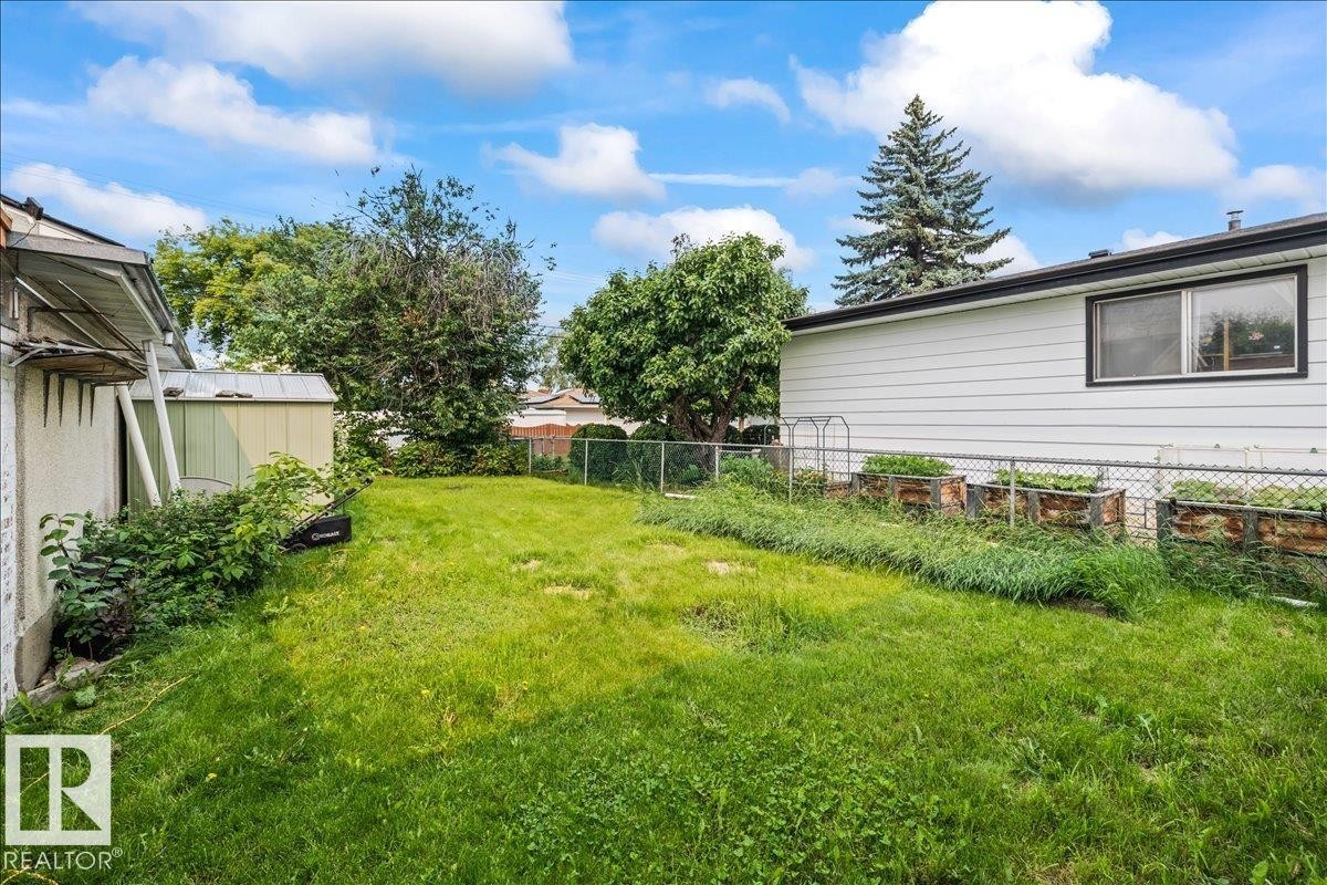 Expansive backyard featuring a green lawn, established trees, and a chain-link fence - 8736 72 Street Nw, Edmonton, AB - Outdoor