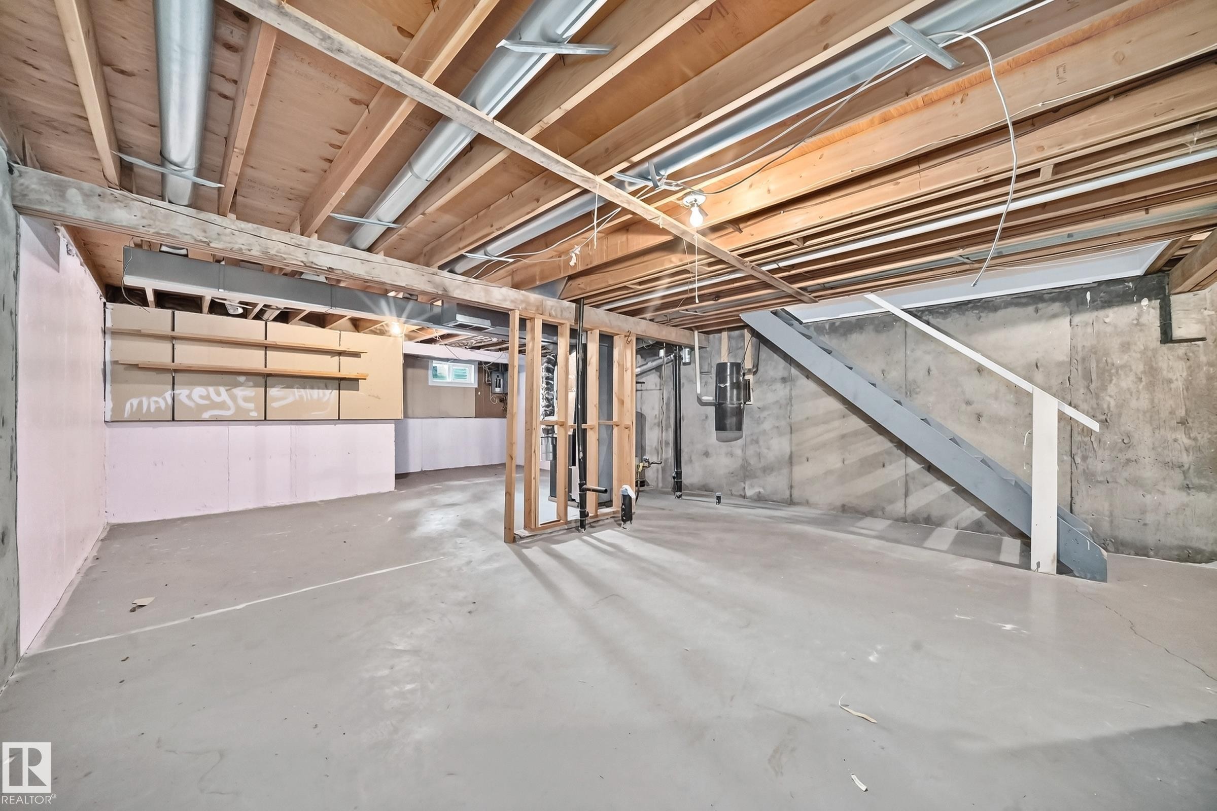 #38 2020 105 St Nw, Edmonton, AB - Indoor Photo Showing Basement