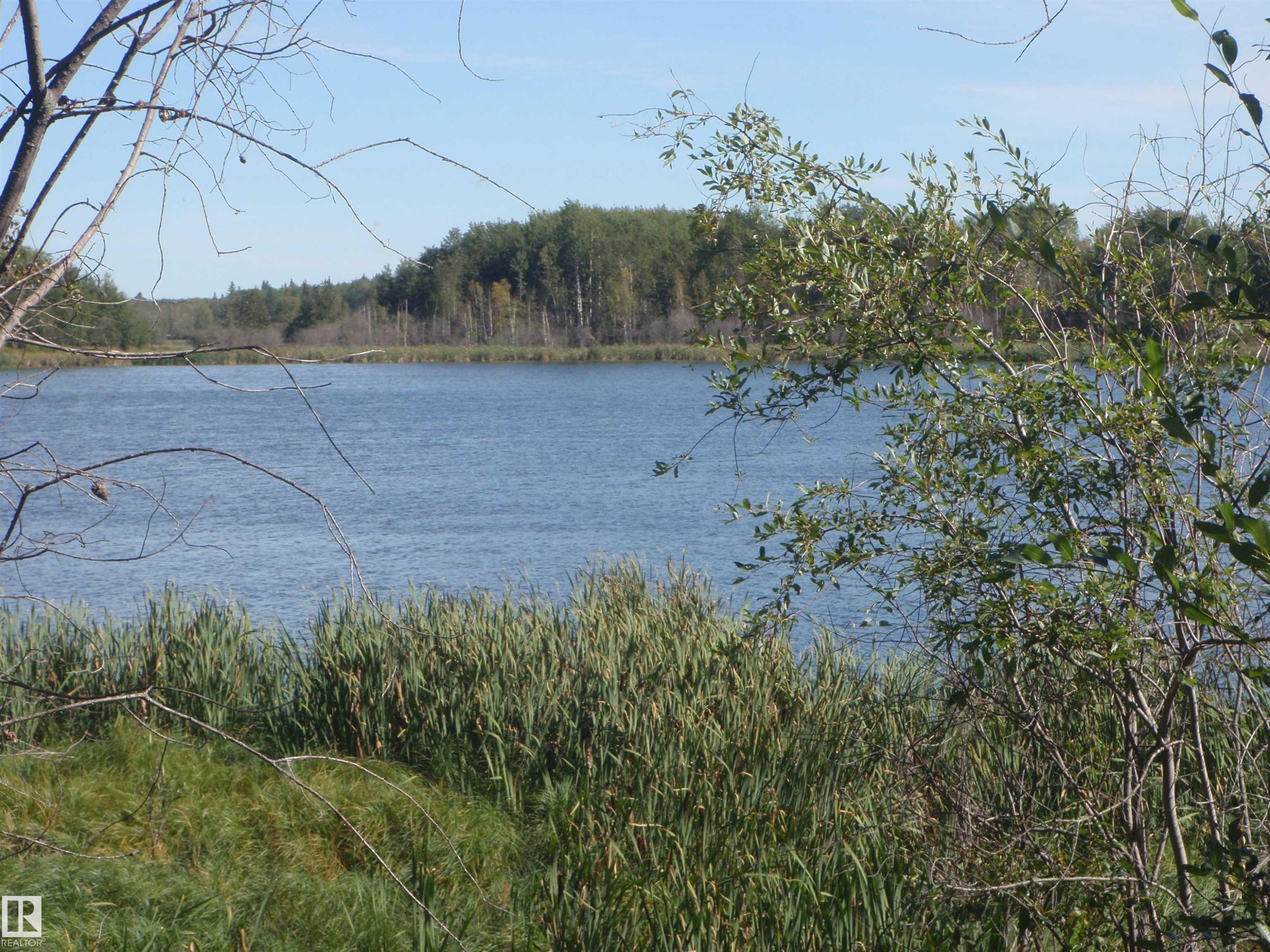 Expansive waterfront featuring a calm body of water, dense shoreline vegetation, and a distant treeline - Rge Rd 62, Rural Barrhead County, AB