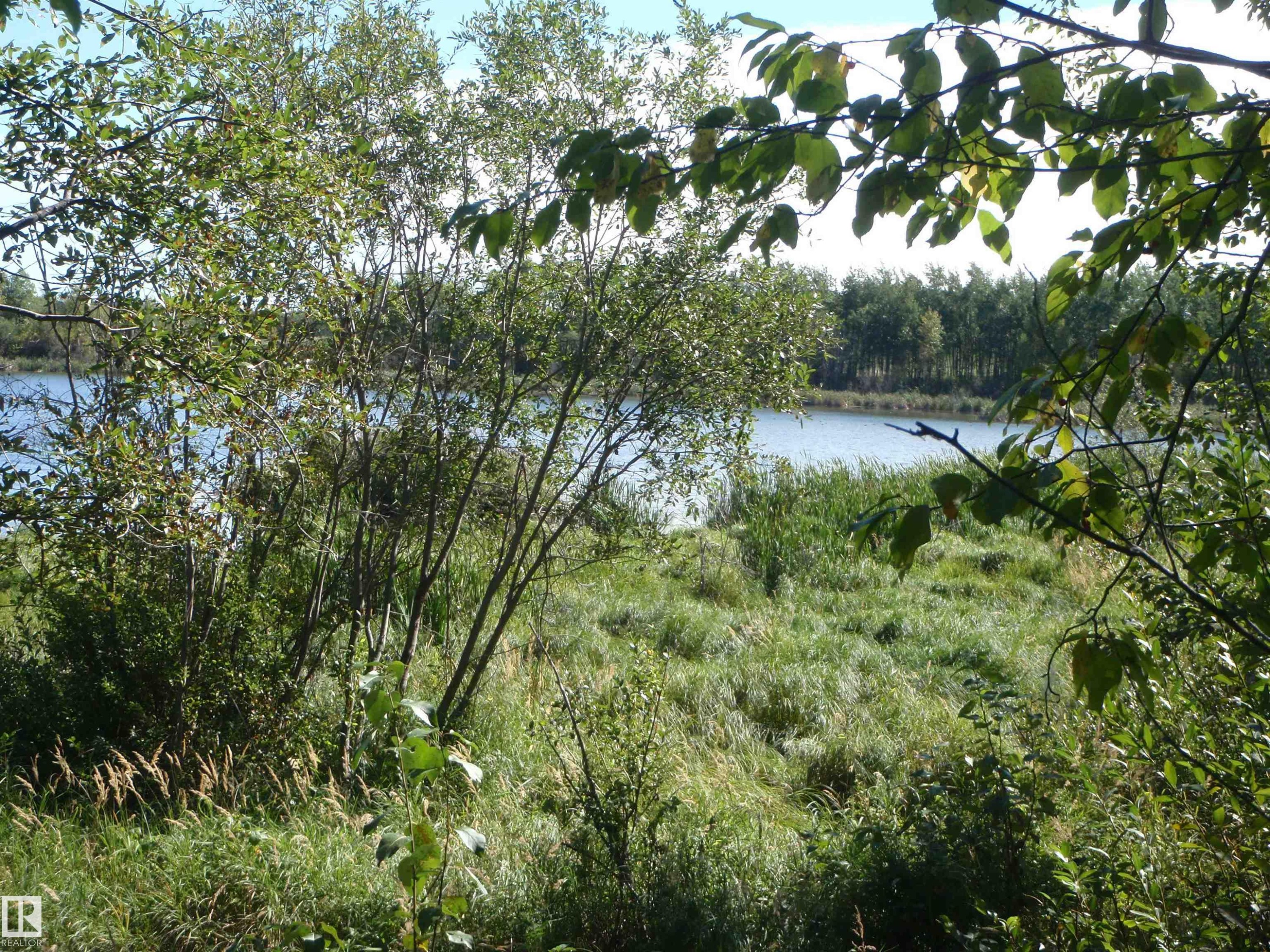 Expansive natural landscape featuring a body of water, dense foliage, and a treeline - Rge Rd 62, Rural Barrhead County, AB