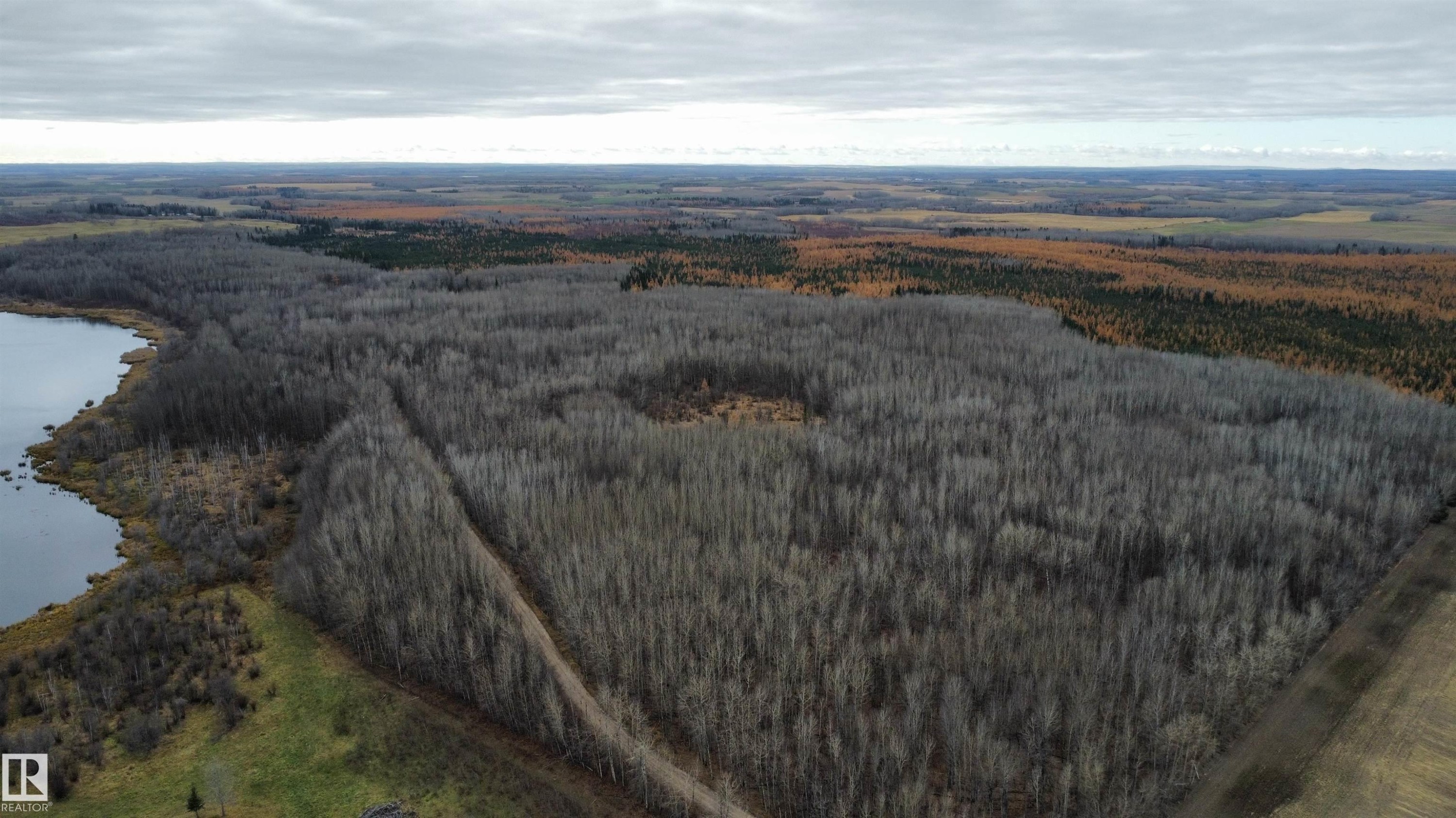 Expansive land parcel featuring dense deciduous forest, a natural water body along the perimeter, and a distinct boundary line - Rge Rd 62, Rural Barrhead County, AB
