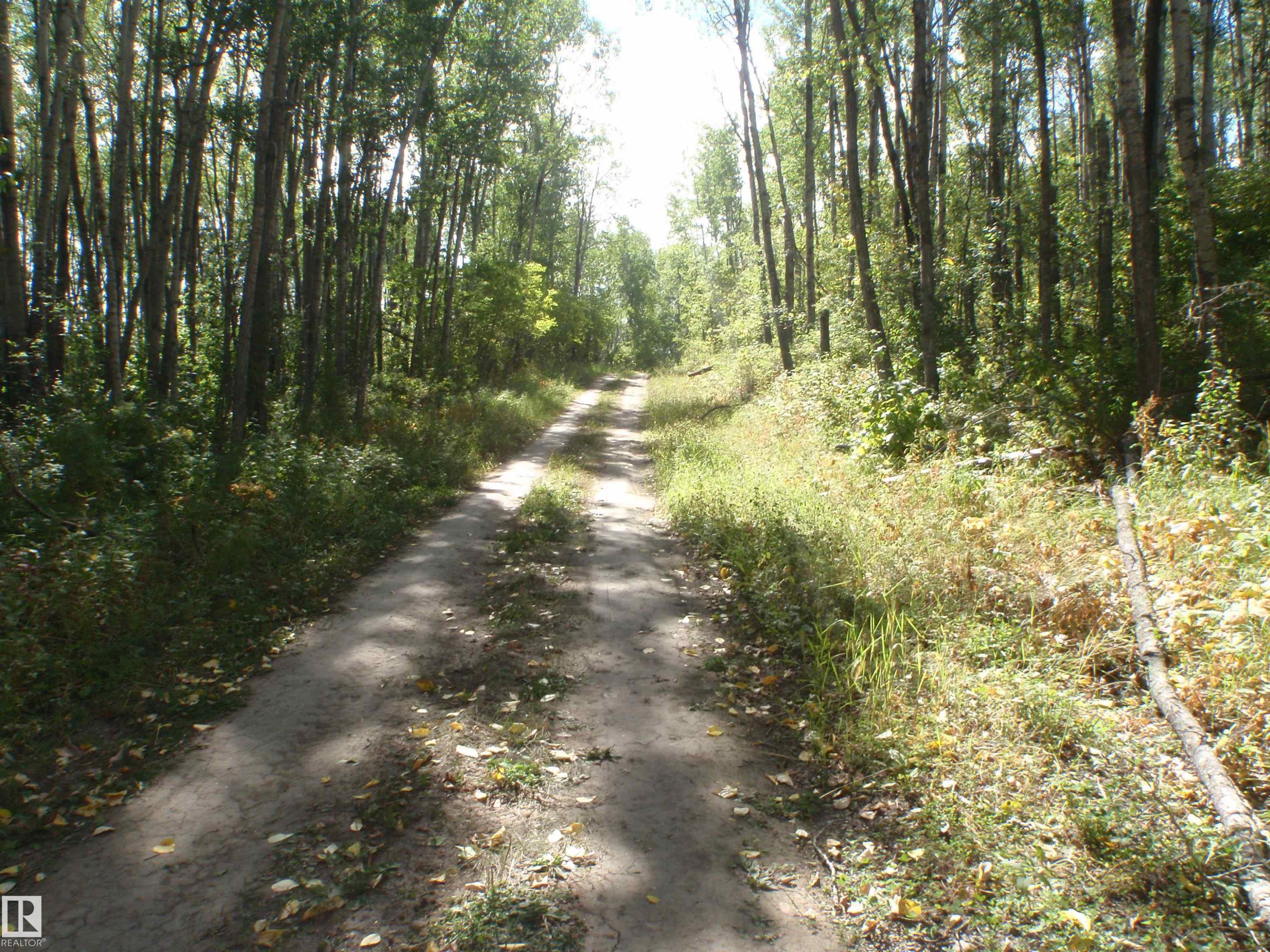 Gravel pathway enveloped by mature deciduous trees and natural vegetation - Rge Rd 62, Rural Barrhead County, AB