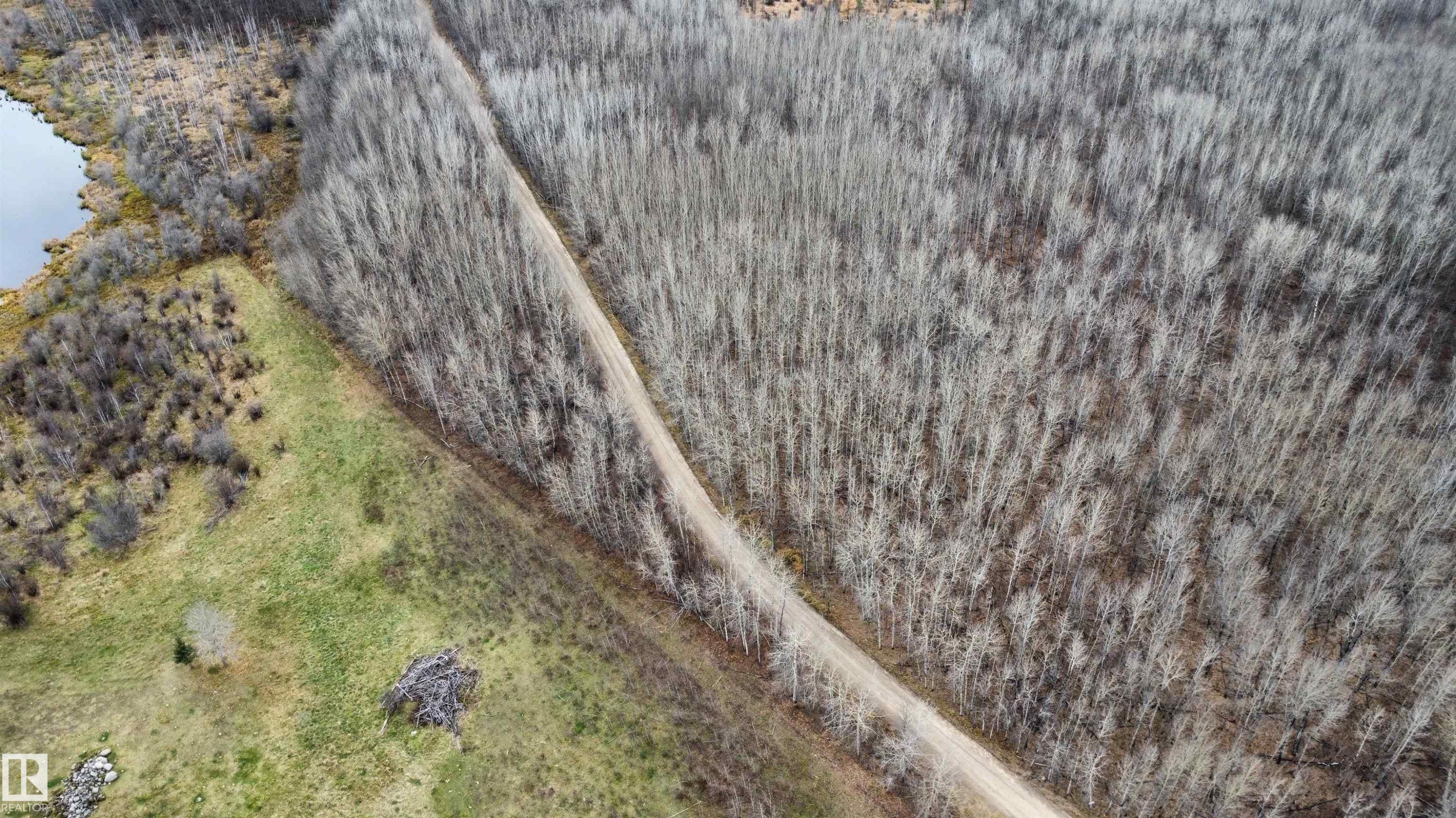 Expansive natural landscape featuring a dirt road, mature deciduous forest, open grassy areas, and a visible body of water - Rge Rd 62, Rural Barrhead County, AB
